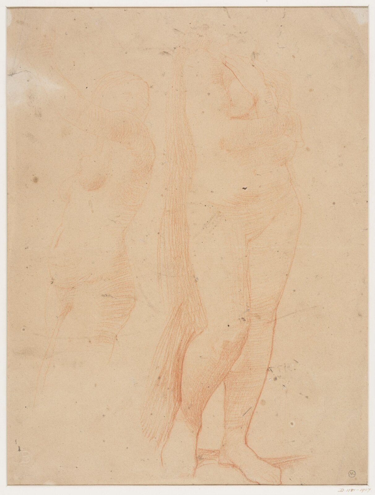 Drawing