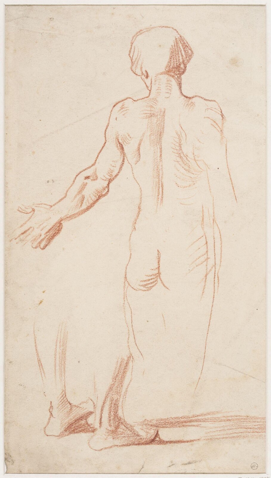Drawing