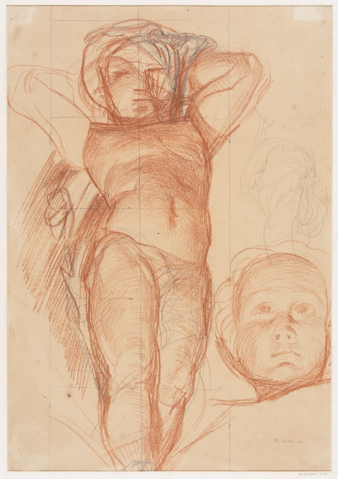 Drawing