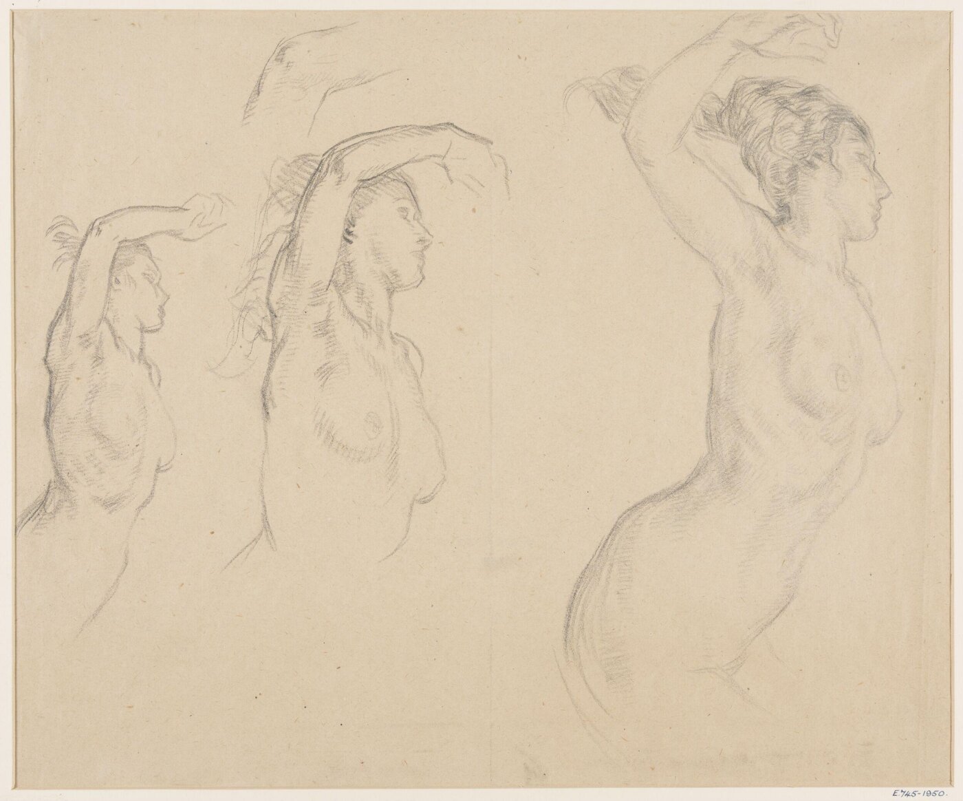 William Shackleton, Drawing