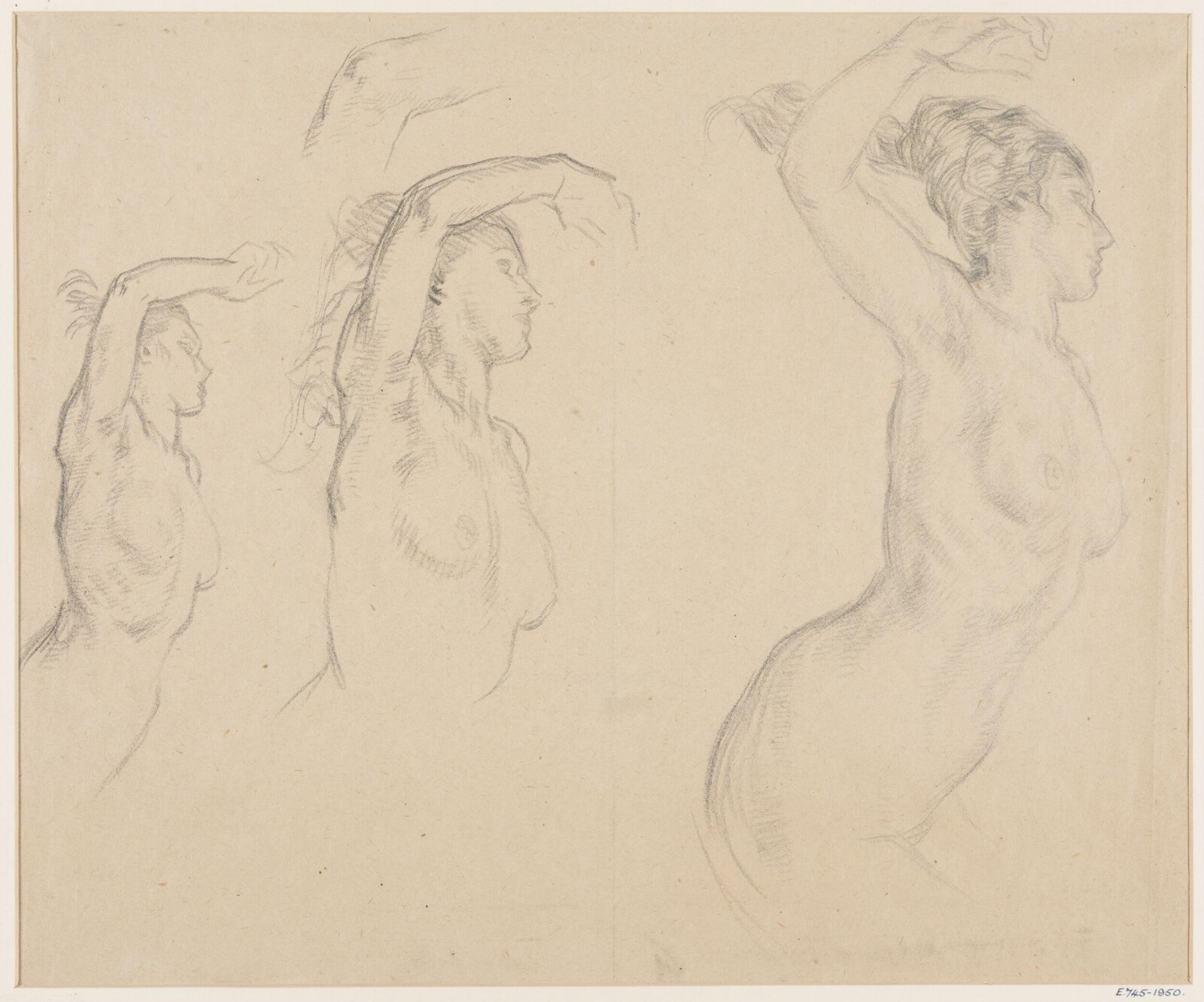 Drawing, William Shackleton, 1900-1932