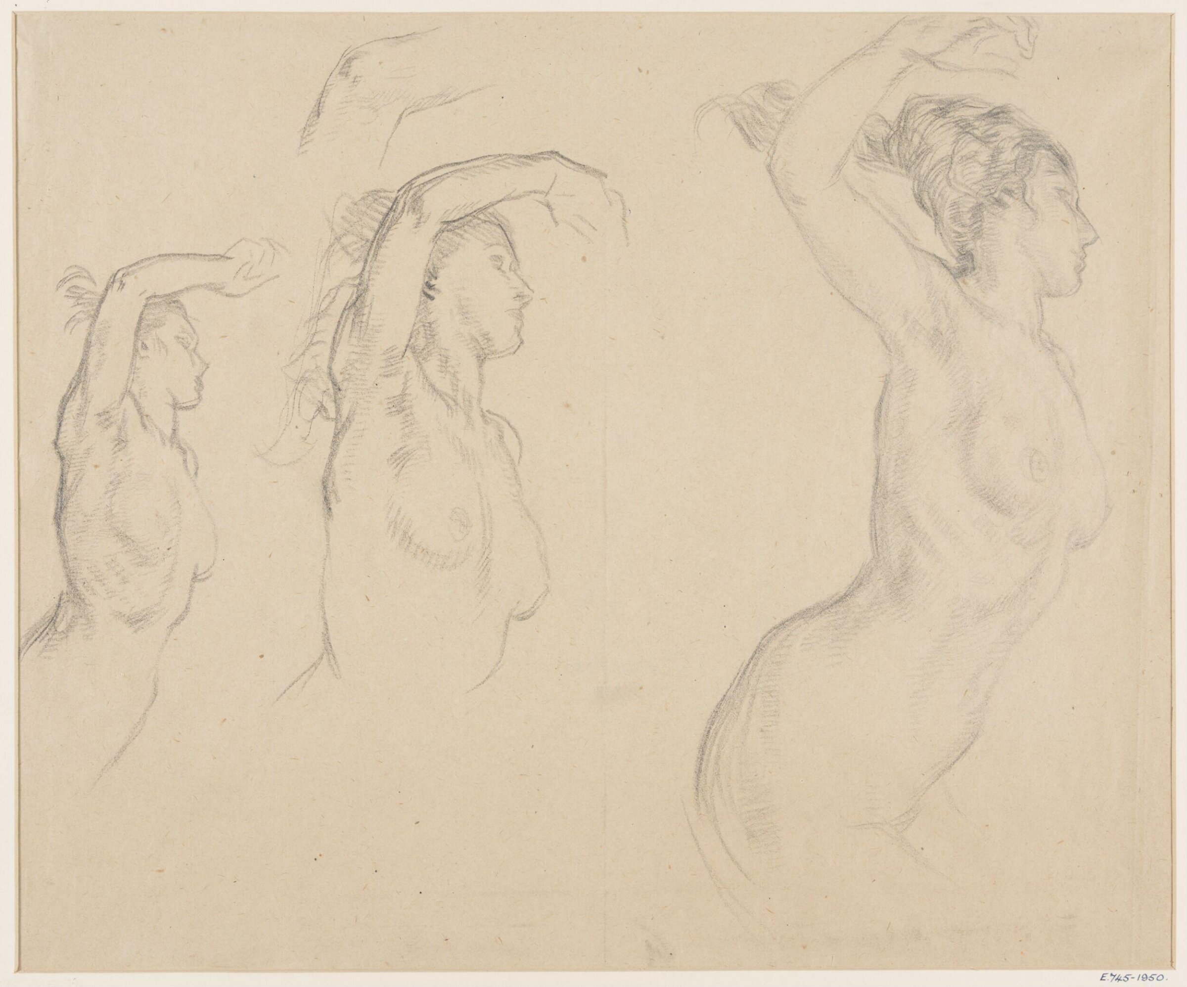 Drawing, William Shackleton, 1900-1932