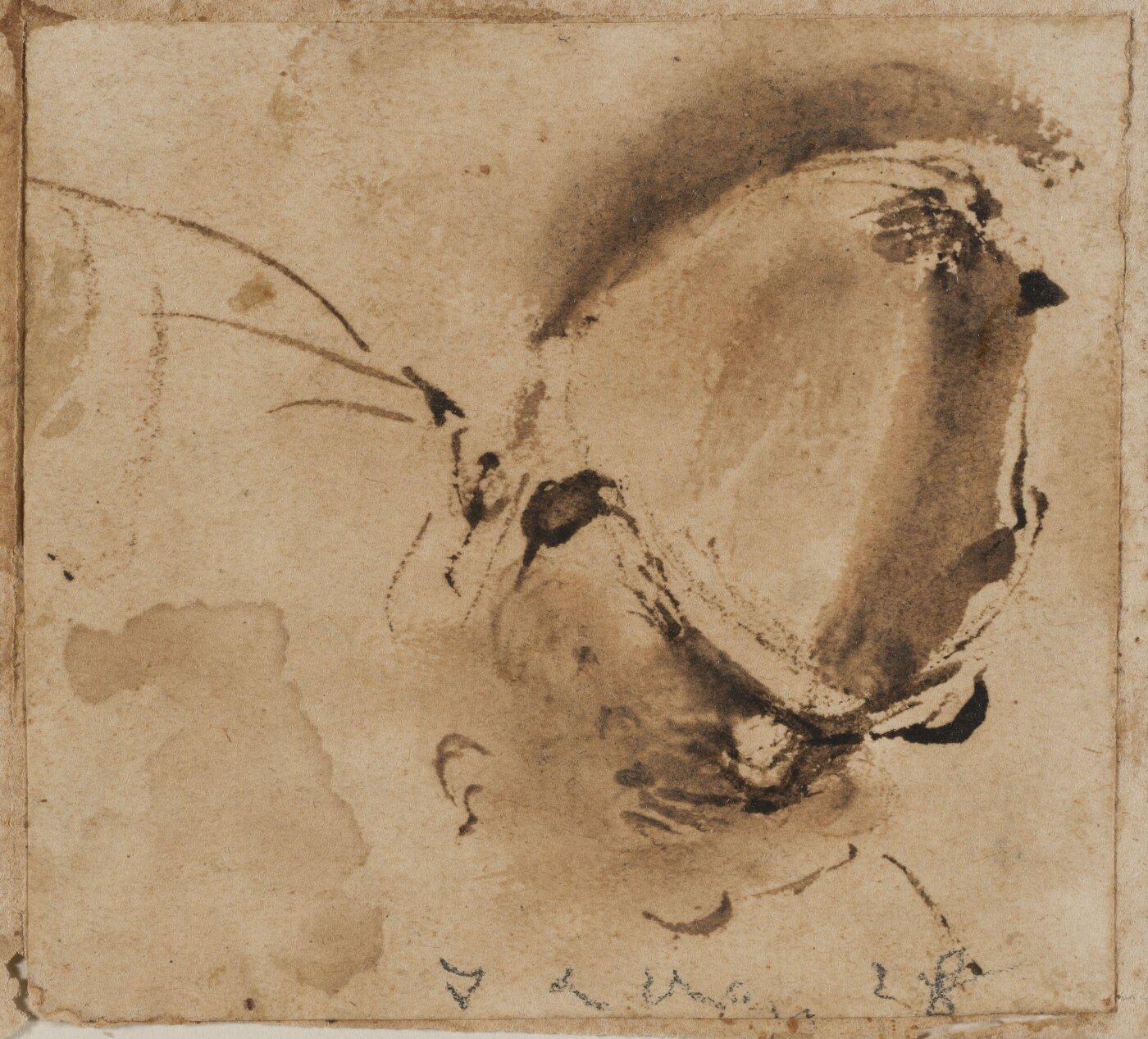 Guercino, Head and Shoulders of a Man in a Helmet