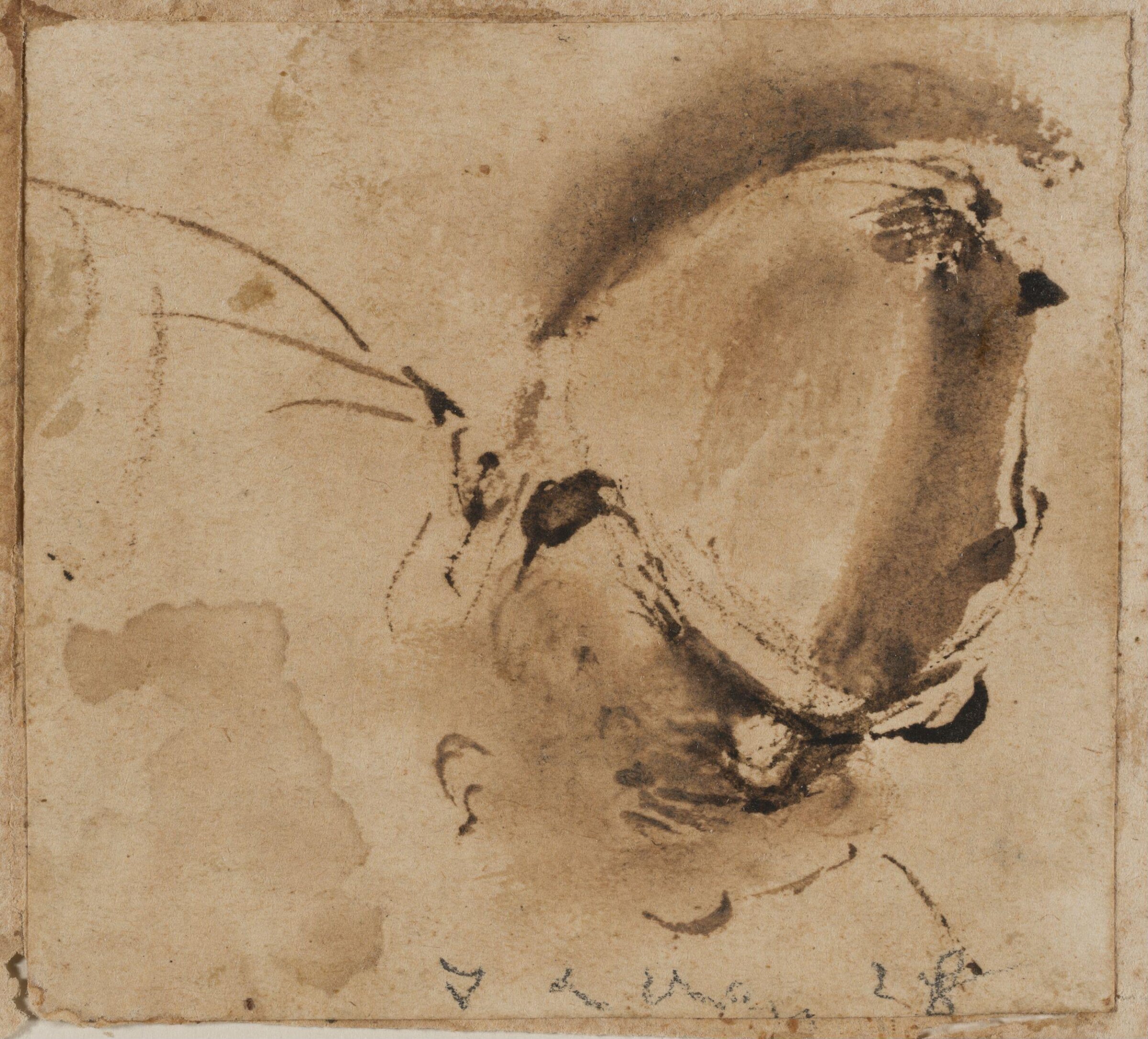 Head and Shoulders of a Man in a Helmet, Guercino, 17th century