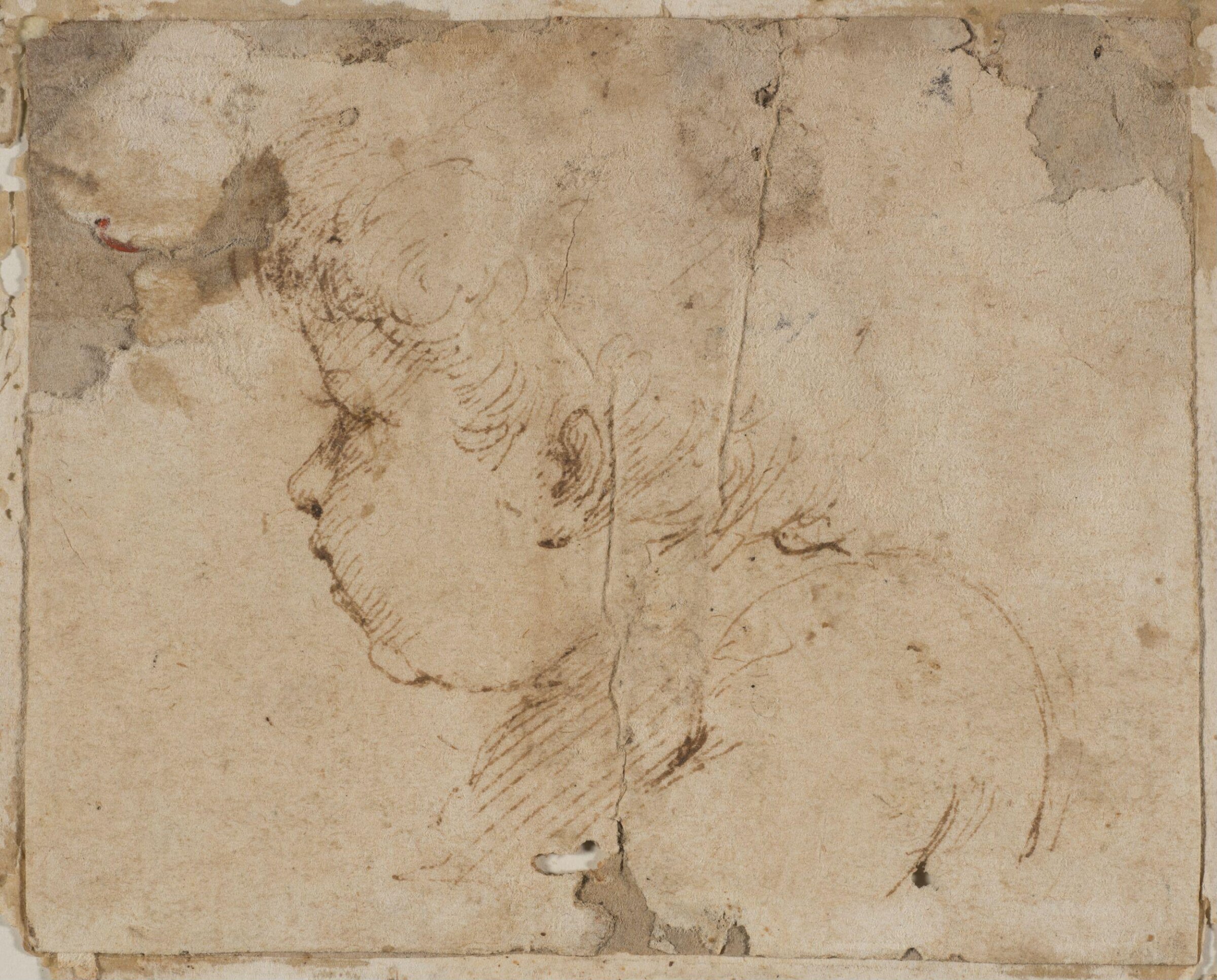 Head and Shoulders of a Baby, Guercino, 17th century