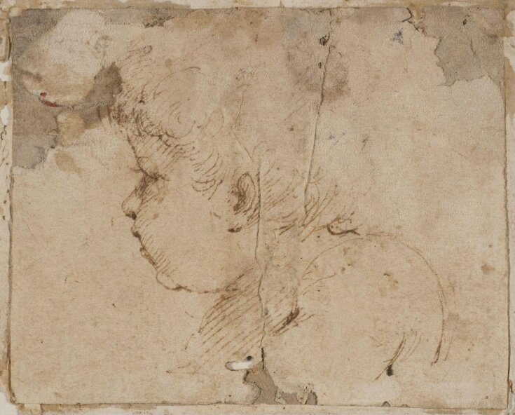 Head and Shoulders of a Baby