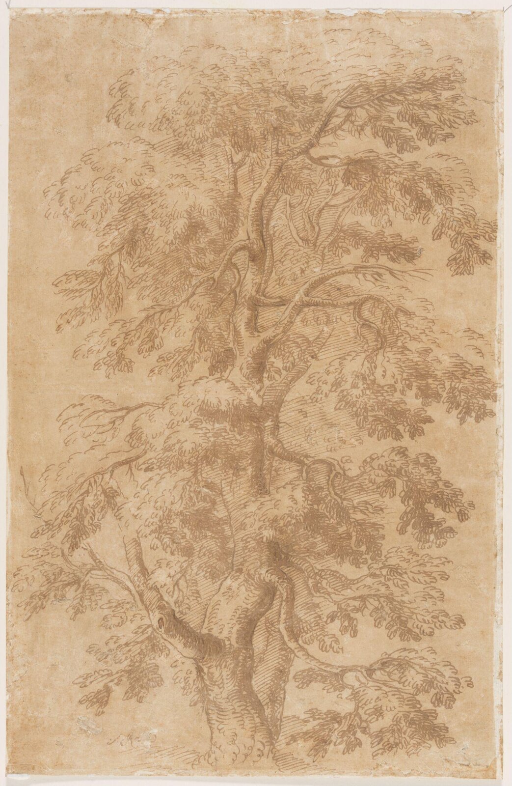 Drawing, Salvator Rosa, 17th century