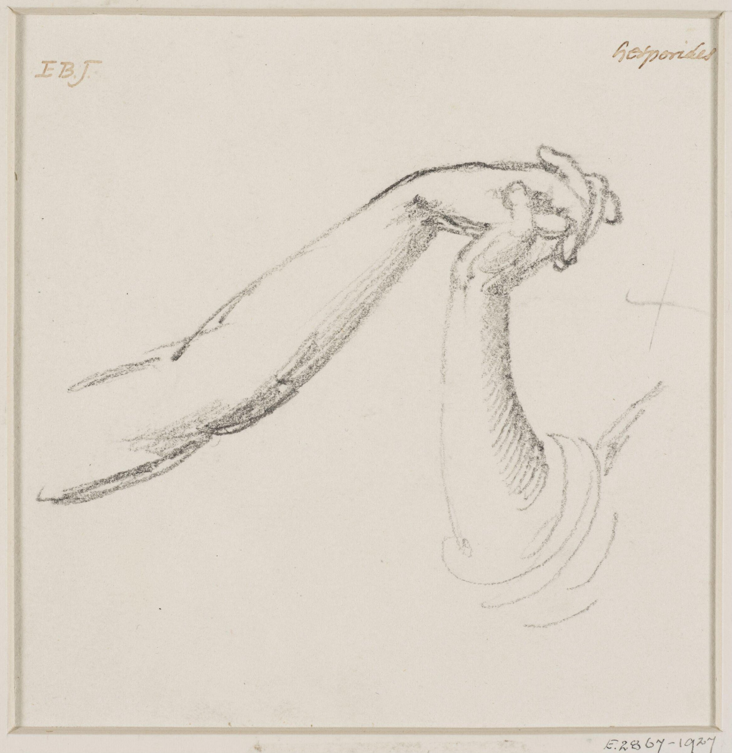 Hesperides, Edward Coley Burne-Jones, 1869-1877