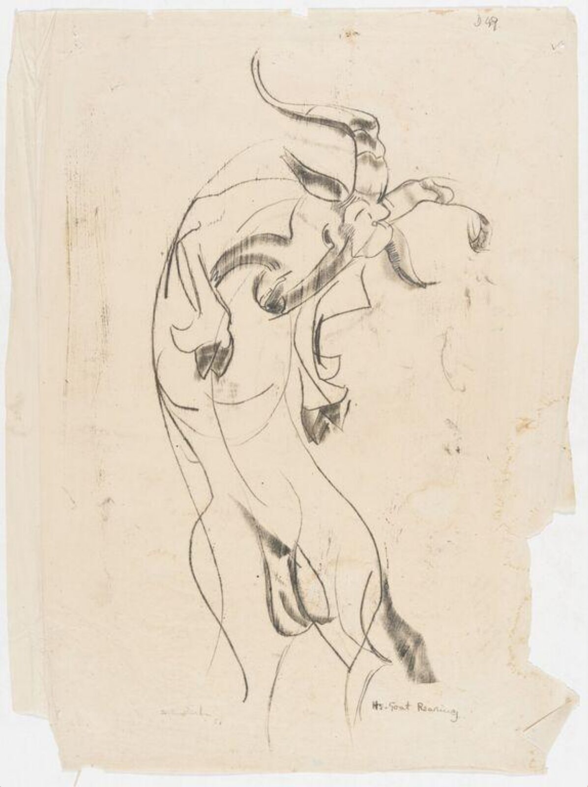 Drawing, 1911-1999