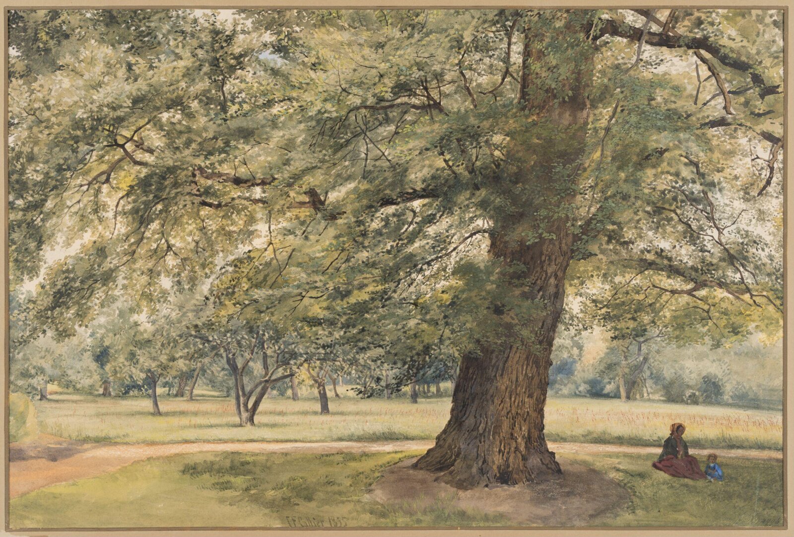 Study of an Elm Tree, Thomas Frederick Collier, ca. 1855-1874