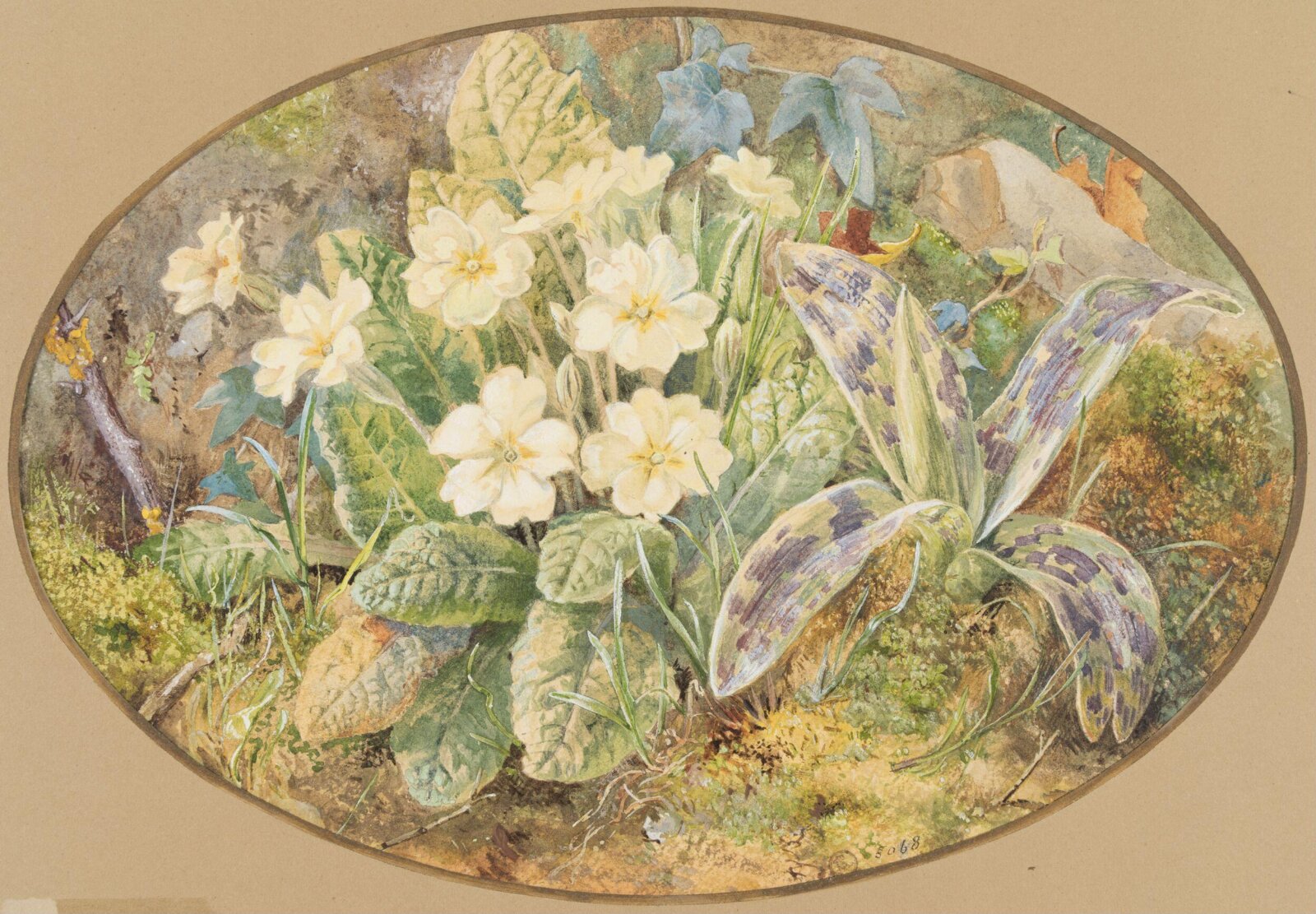 Primrose and Orchids, Thomas Frederick Collier, ca. 1855-1874