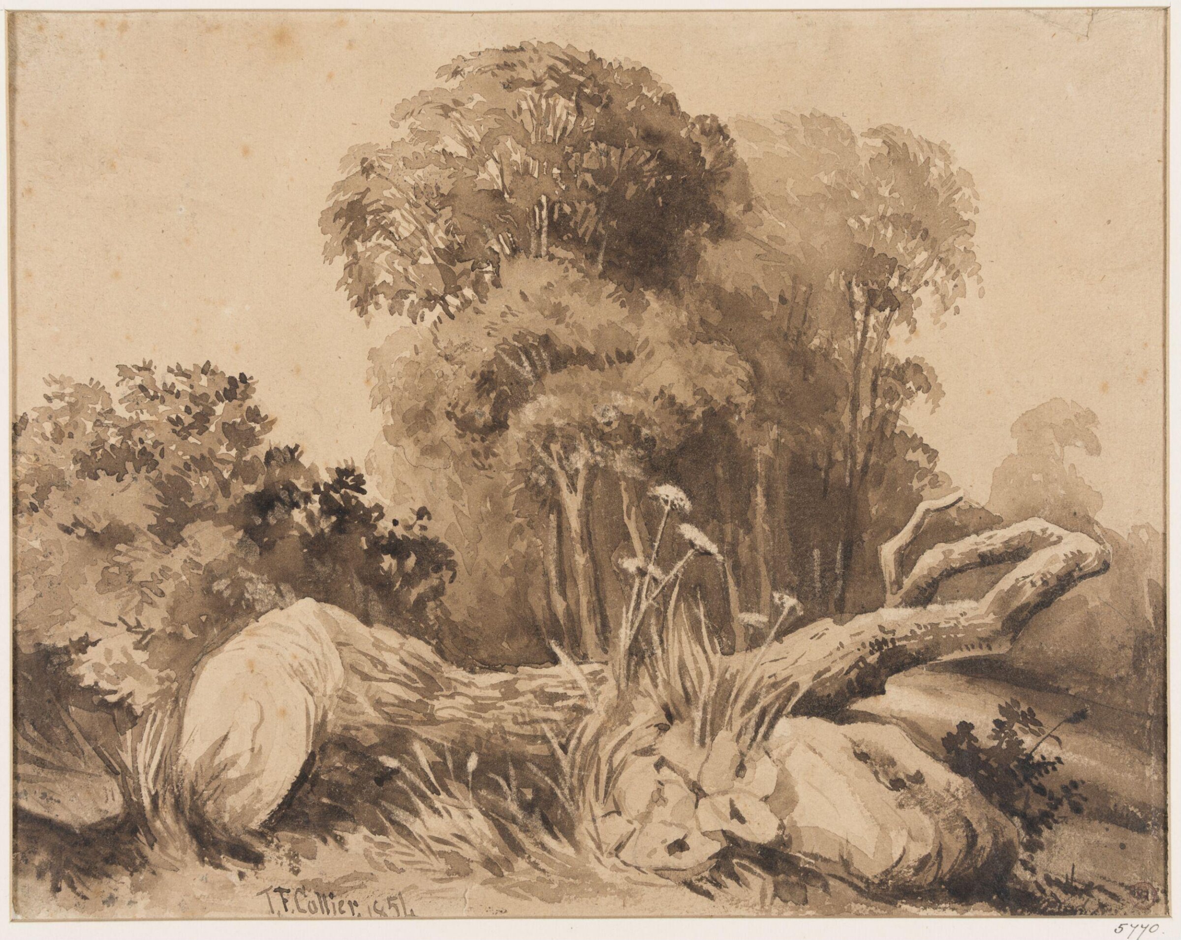 A Tree Cut Down, Thomas Frederick Collier, ca. 1855-1874