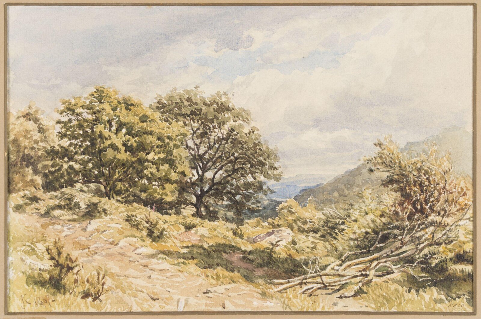 A Woody Bit, North Wales, John Kemp, 1867