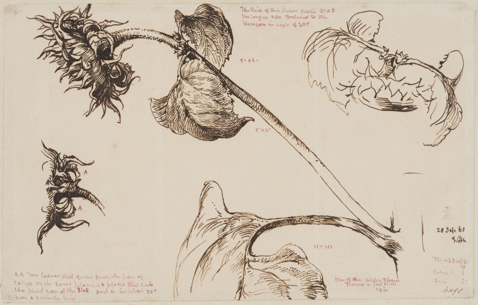 Drawing, William Mulready