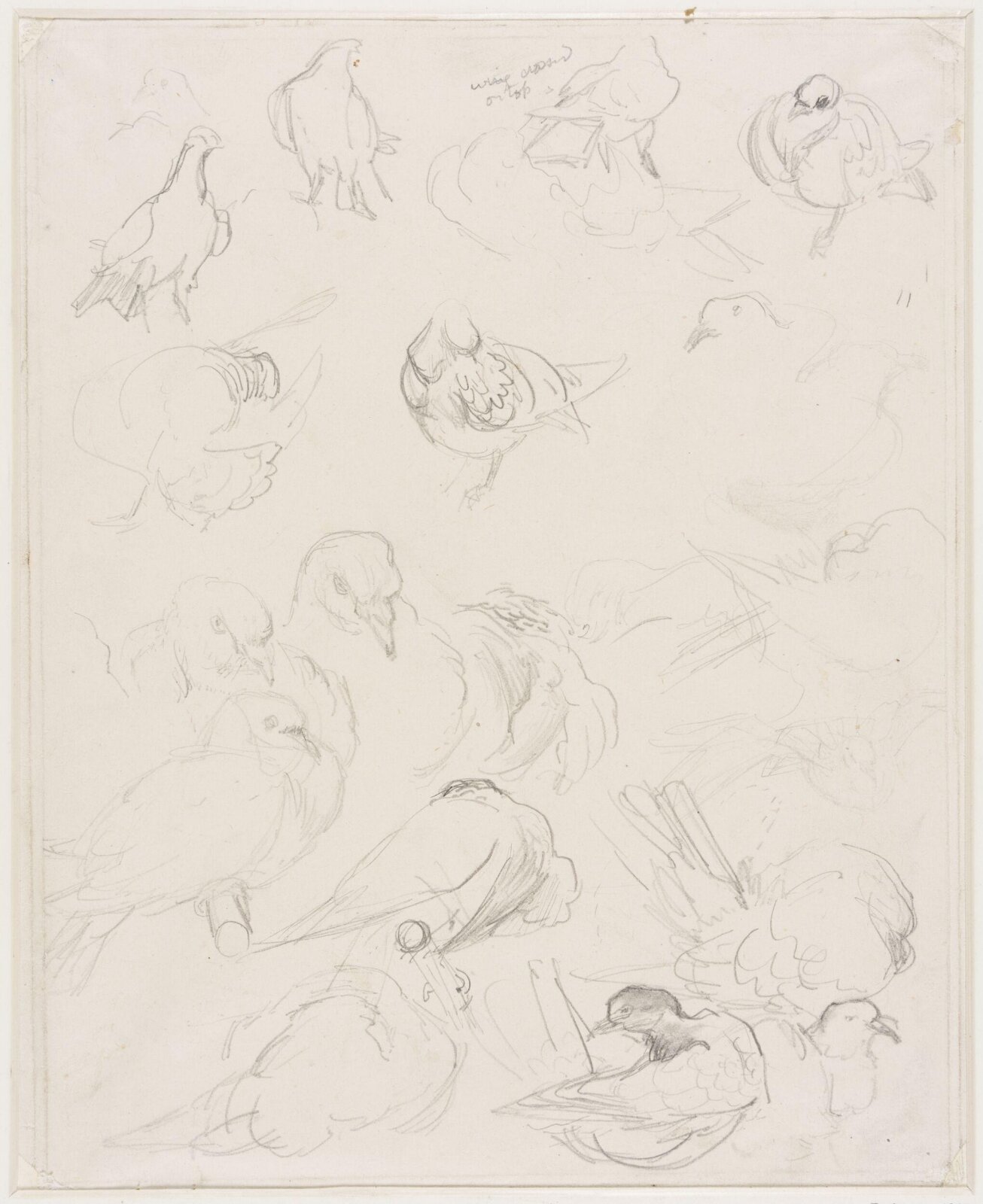 Drawing, Edward John Gregory, mid-late 19th century