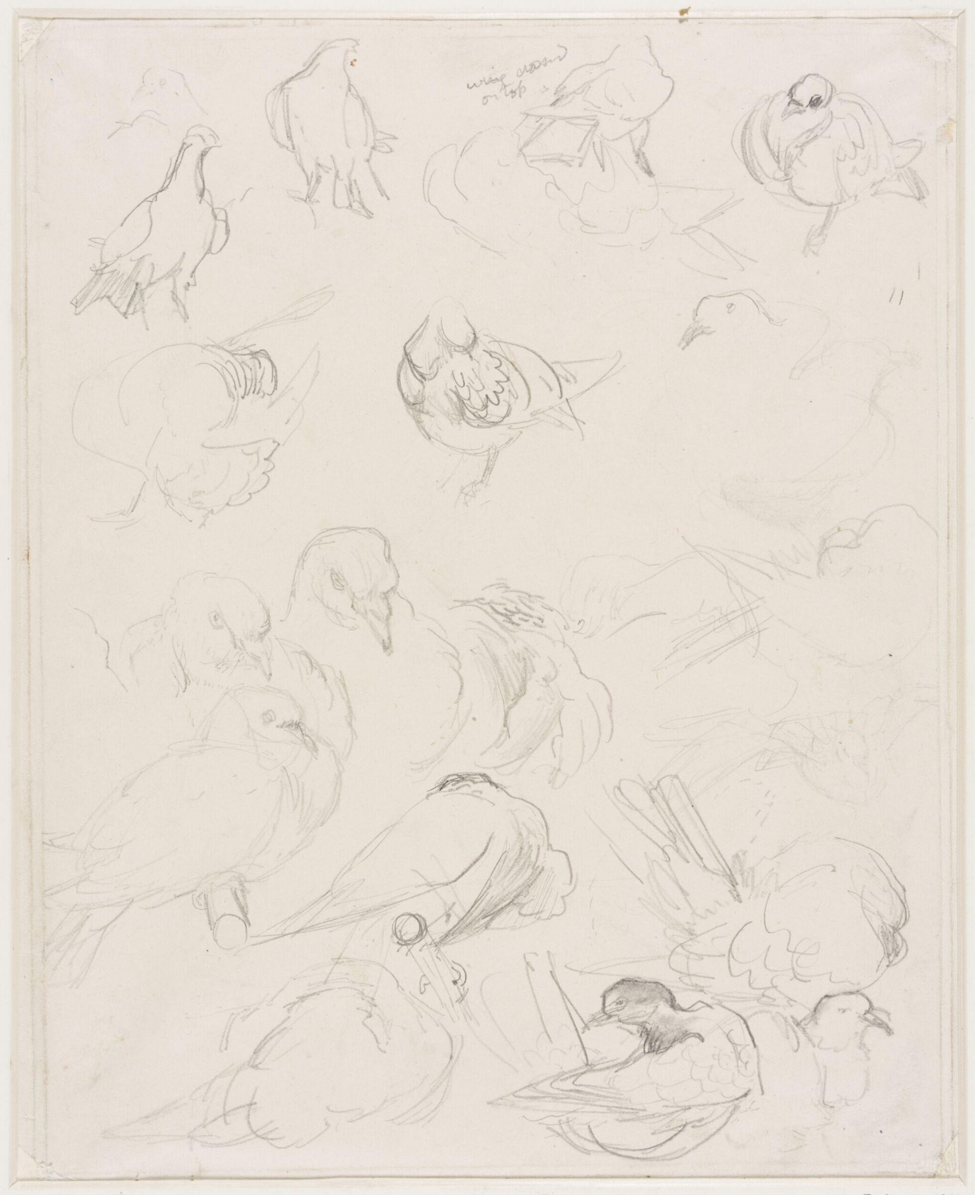 Drawing, Edward John Gregory, mid-late 19th century