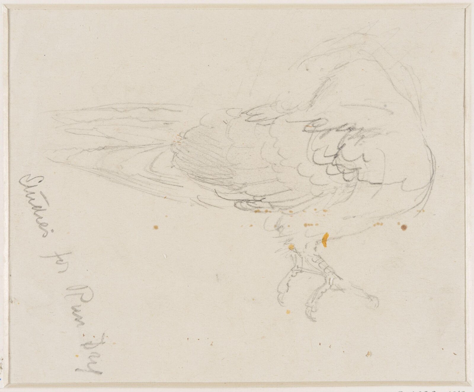 Drawing, Edward John Gregory, mid-late 19th century
