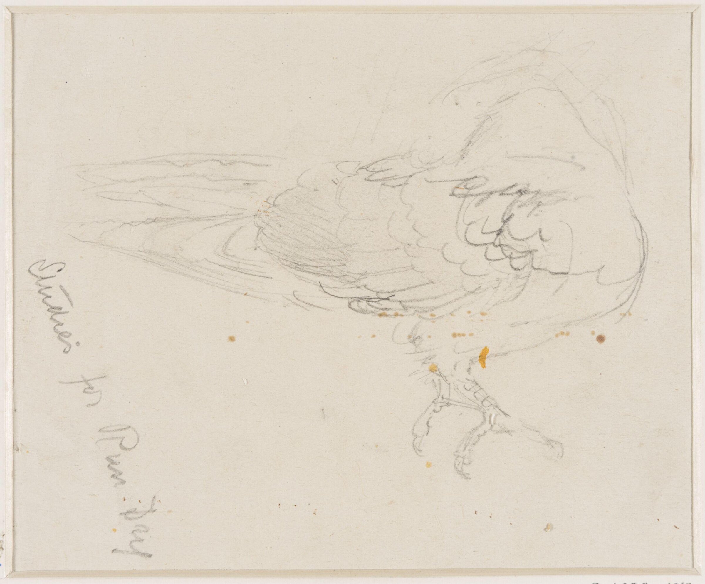 Drawing, Edward John Gregory, mid-late 19th century