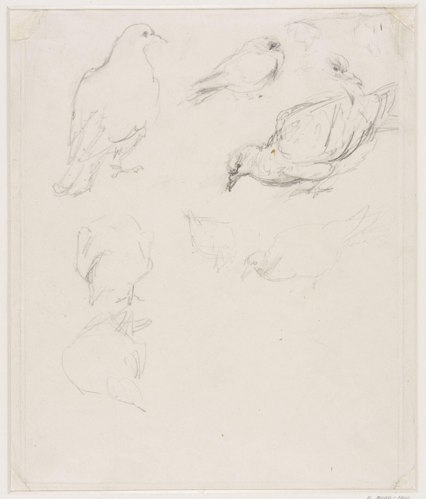 Drawing, Edward John Gregory, mid-late 19th century