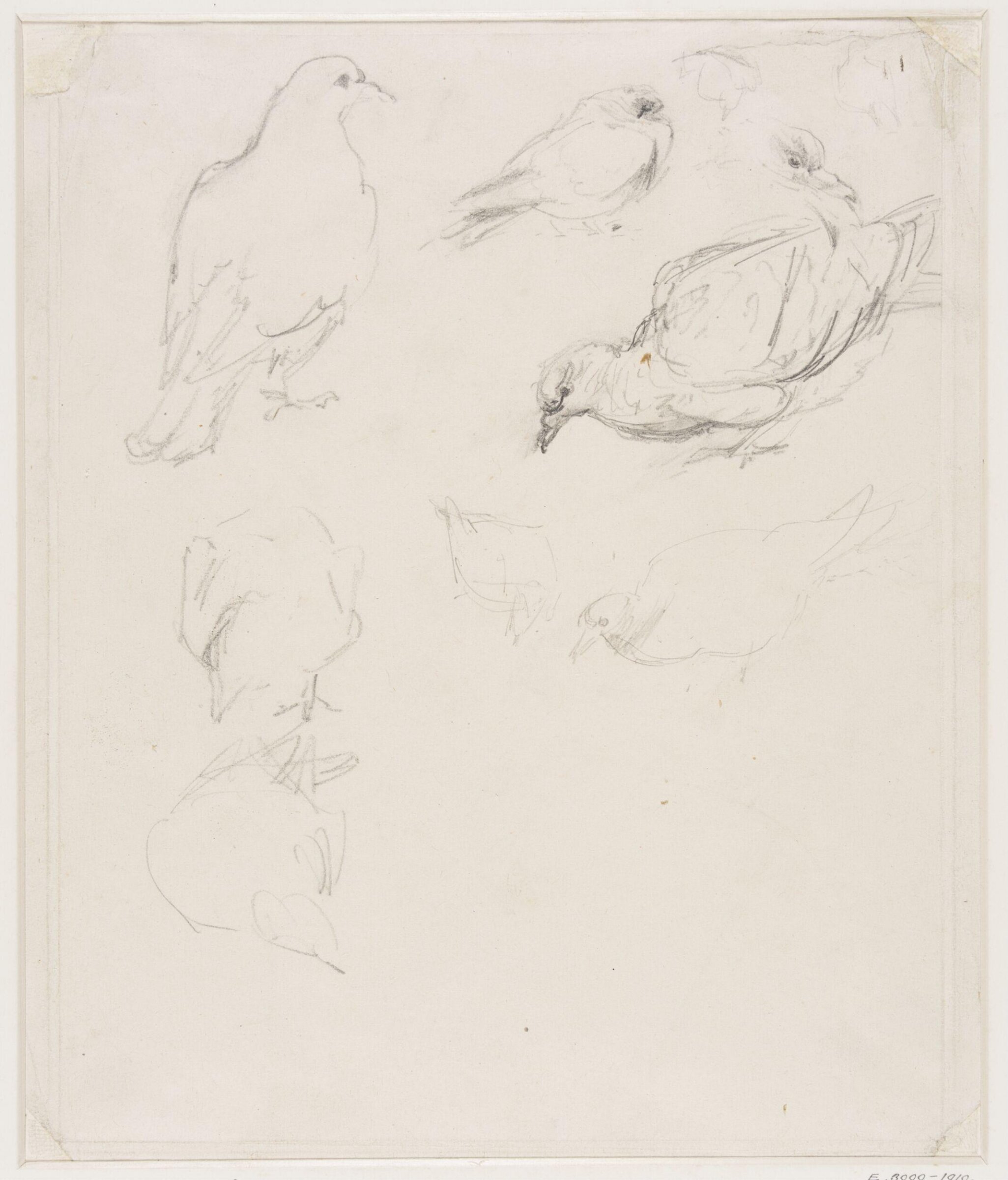 Drawing, Edward John Gregory, mid-late 19th century