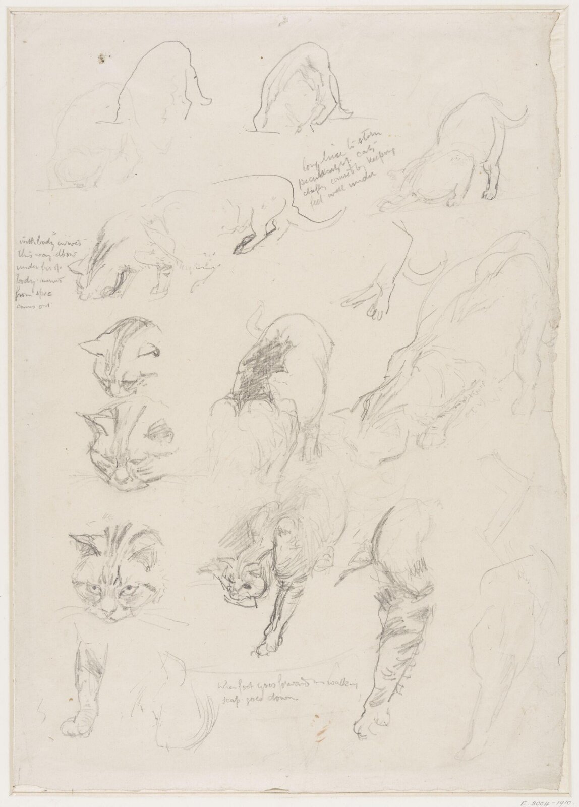 Drawing, Edward John Gregory, mid-late 19th century