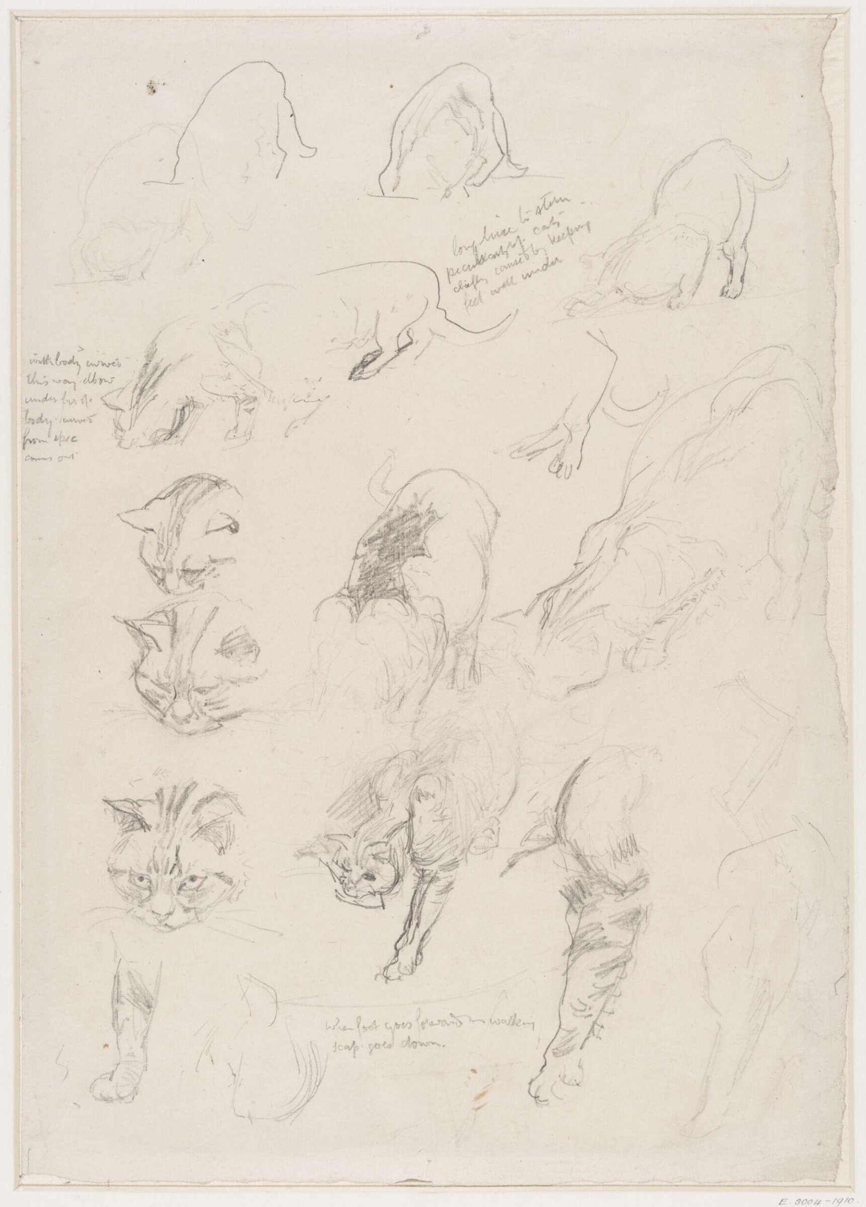 Drawing, Edward John Gregory, mid-late 19th century