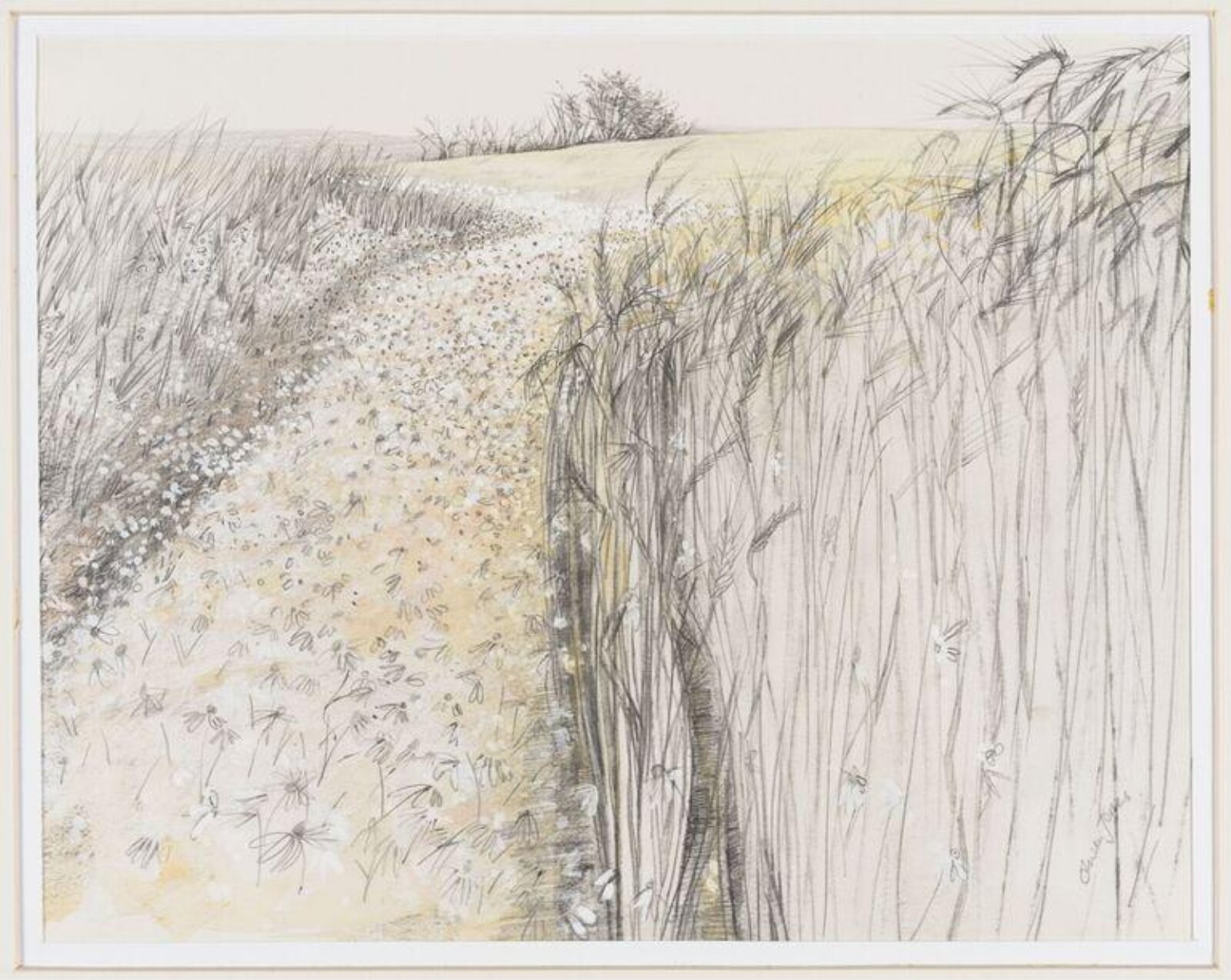 Daisy Path, Olwen Jones, ca. 1965-1979