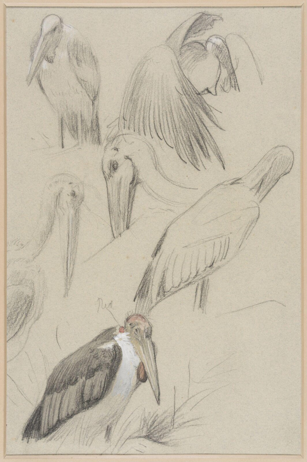 Drawing, Henry Stacy Marks, late 19th century