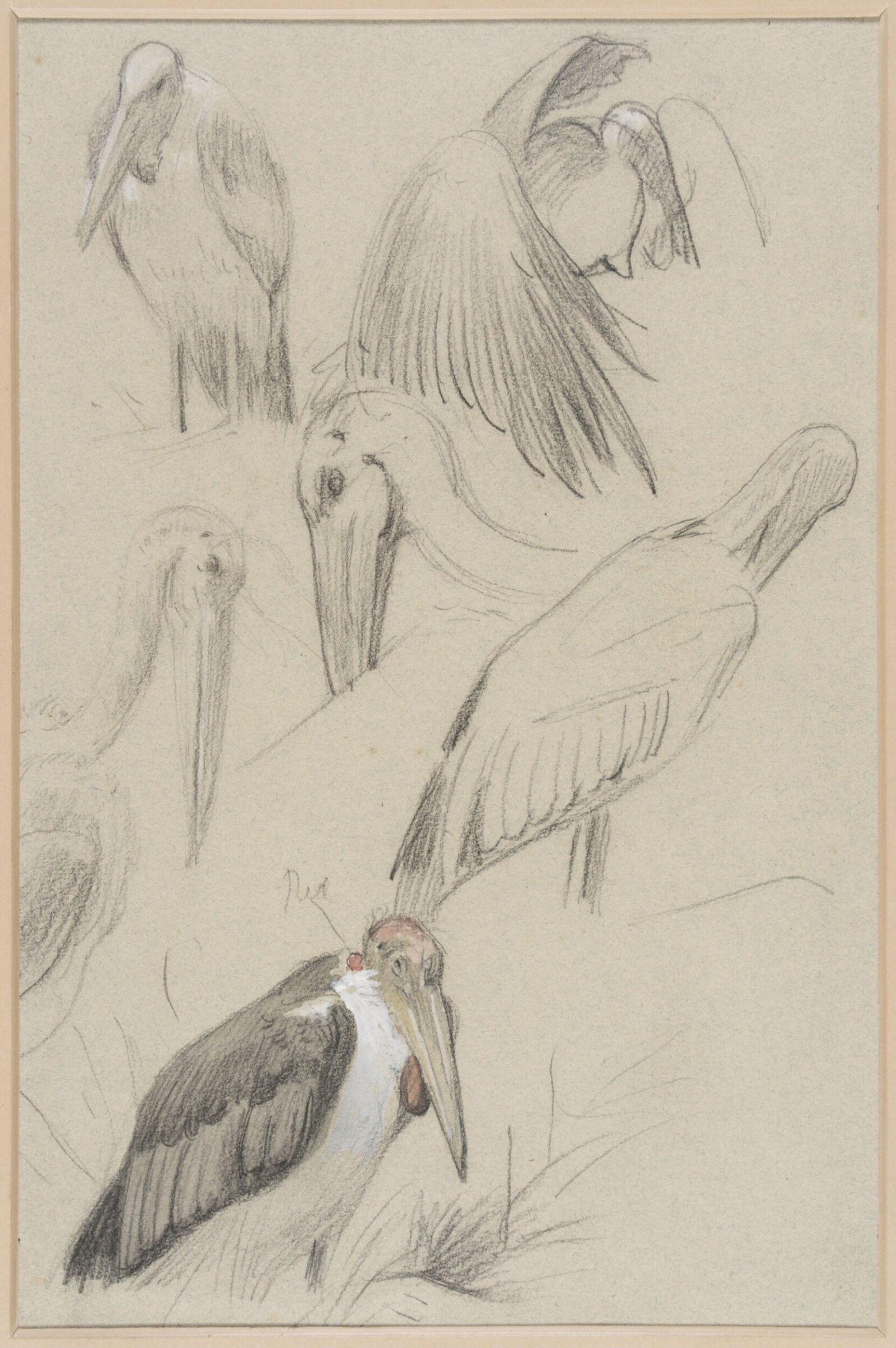 Drawing, Henry Stacy Marks, late 19th century
