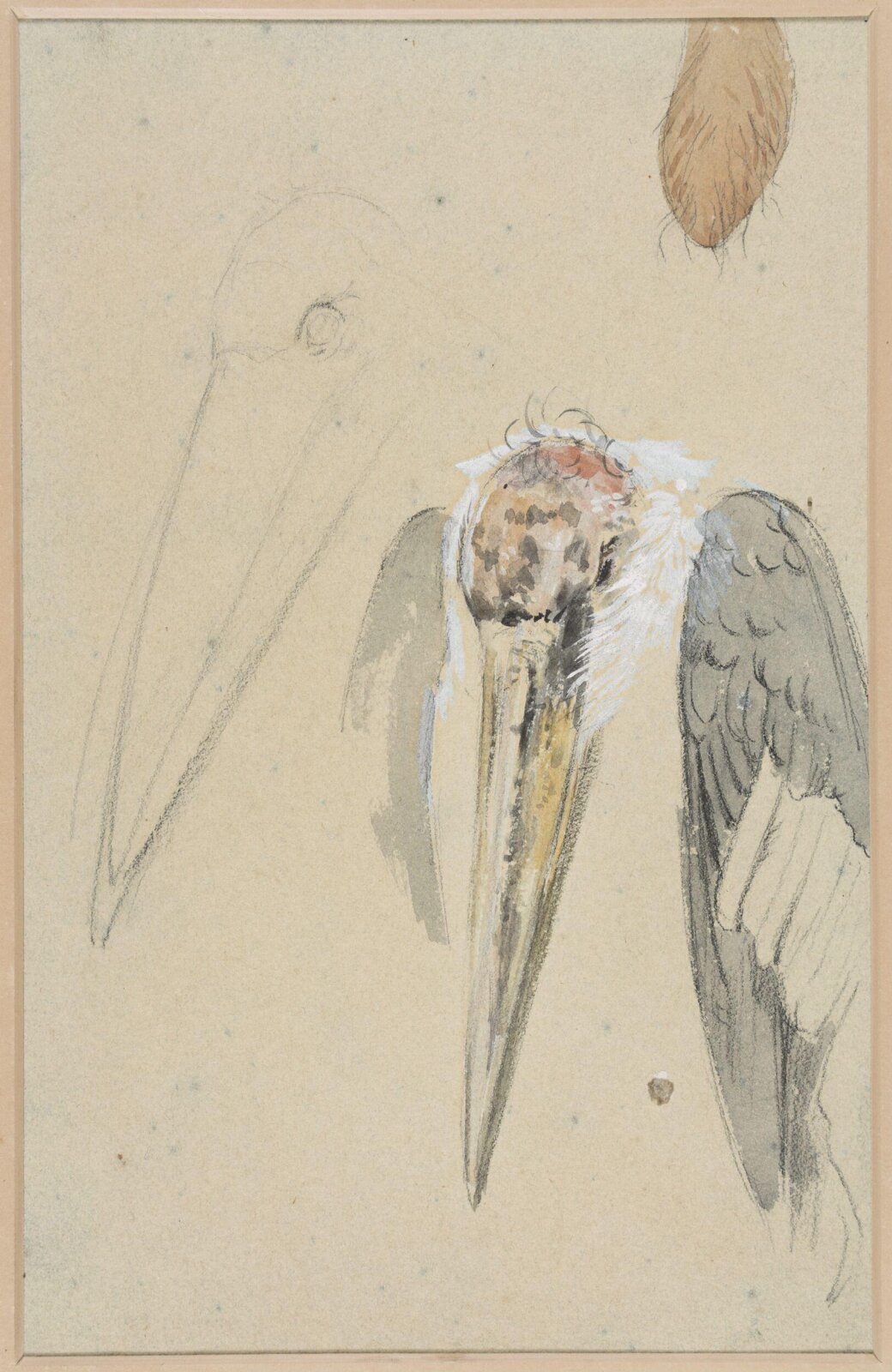 Drawing, Henry Stacy Marks, late 19th century