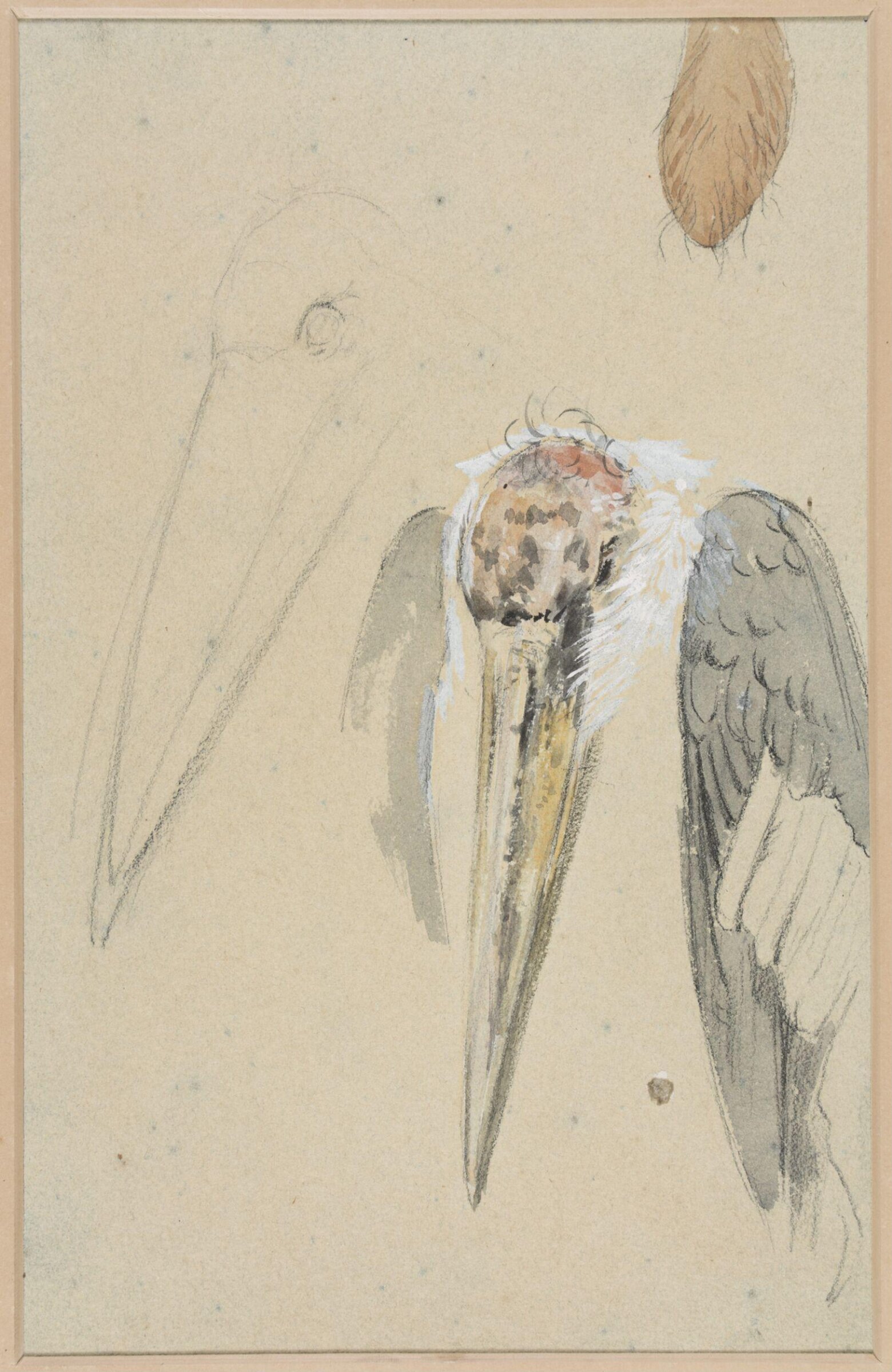 Drawing, Henry Stacy Marks, late 19th century