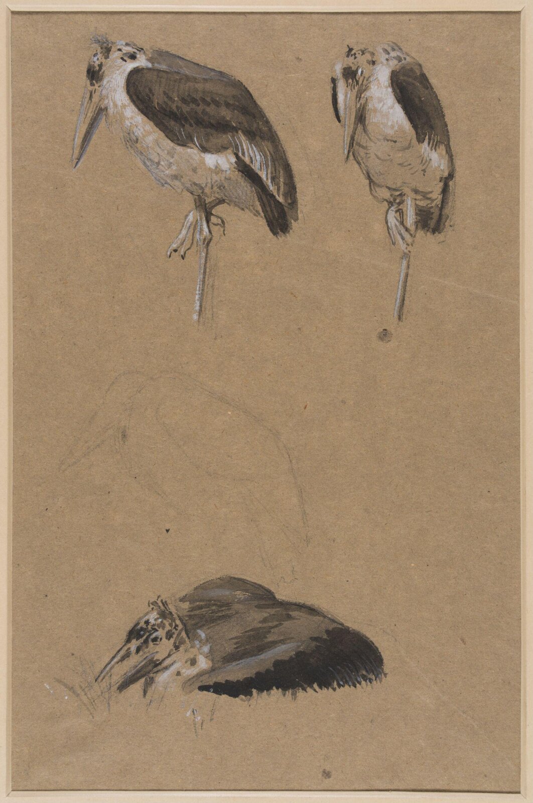 Drawing, Henry Stacy Marks, late 19th century