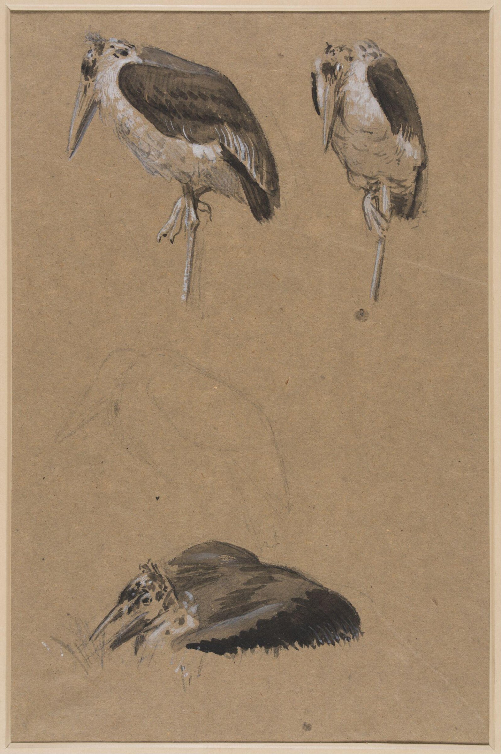 Drawing, Henry Stacy Marks, late 19th century