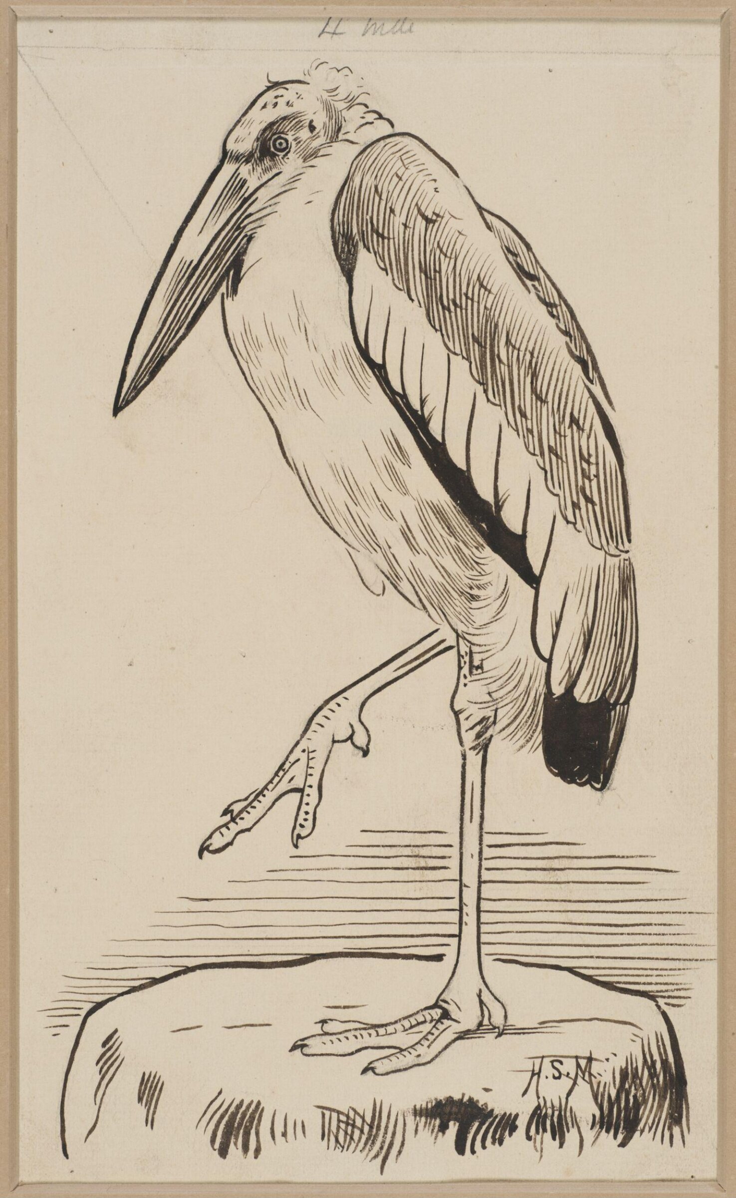 Drawing, Henry Stacy Marks, late 19th century