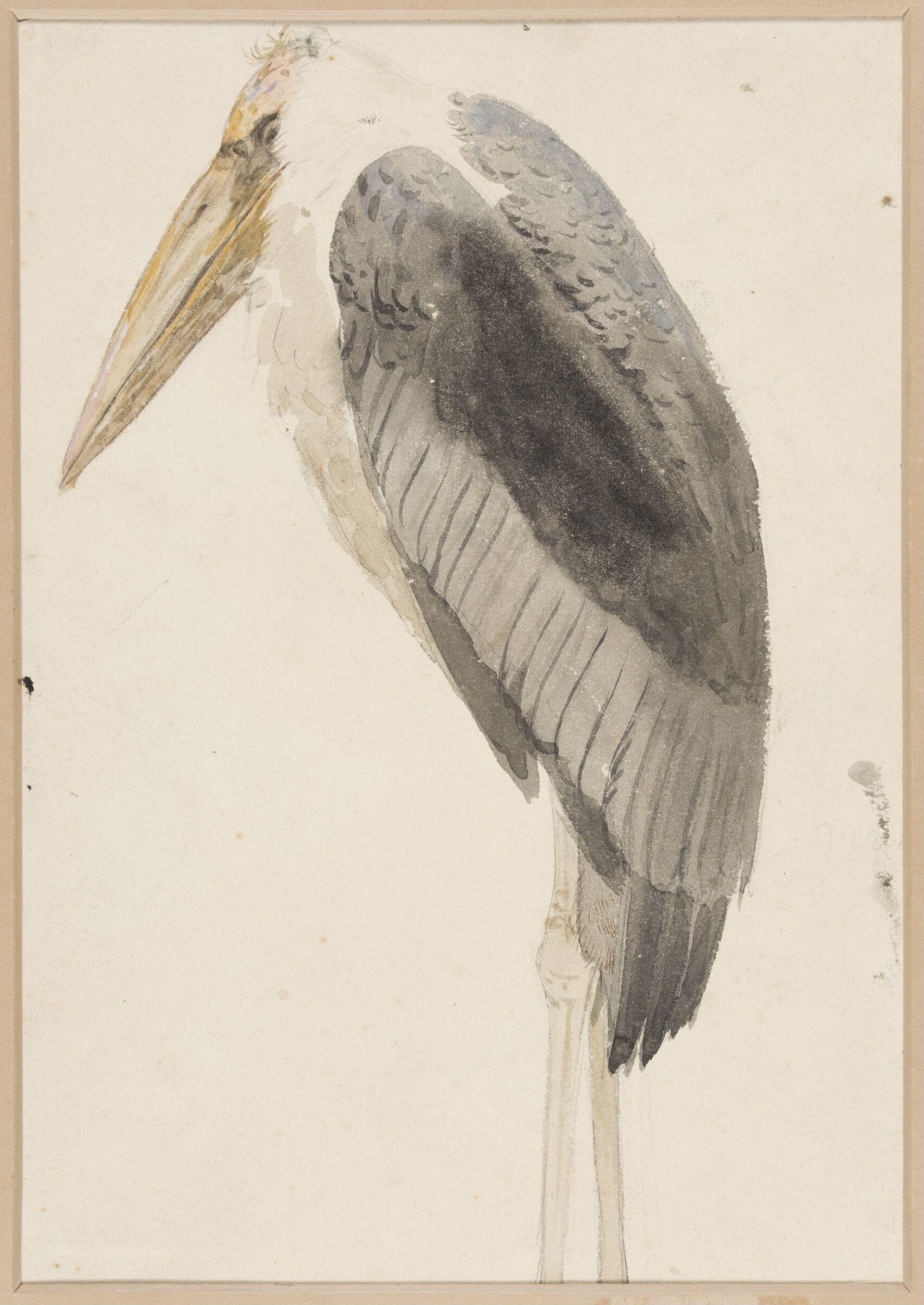 Drawing, Henry Stacy Marks, late 19th century