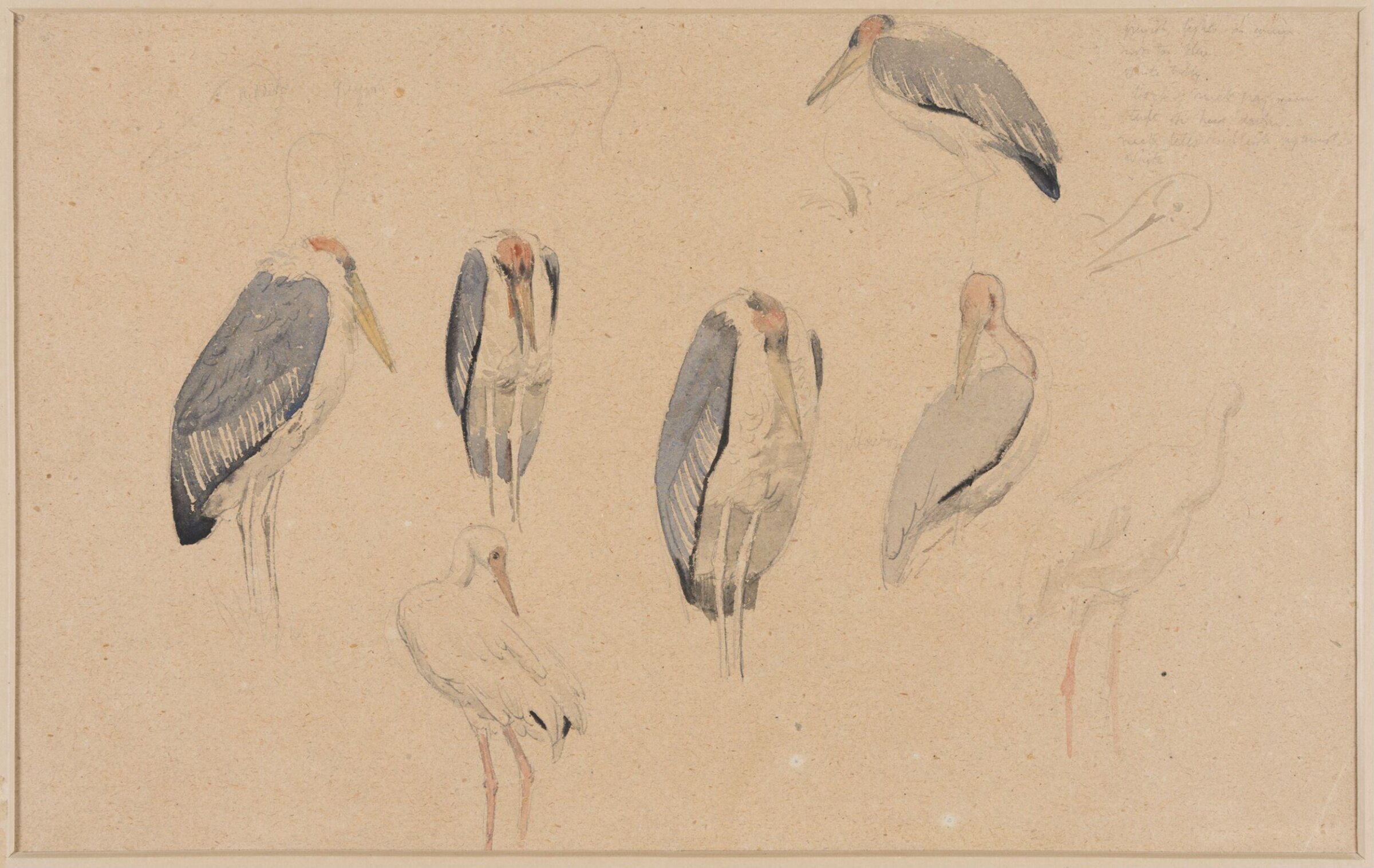 Drawing, Henry Stacy Marks, late 19th century