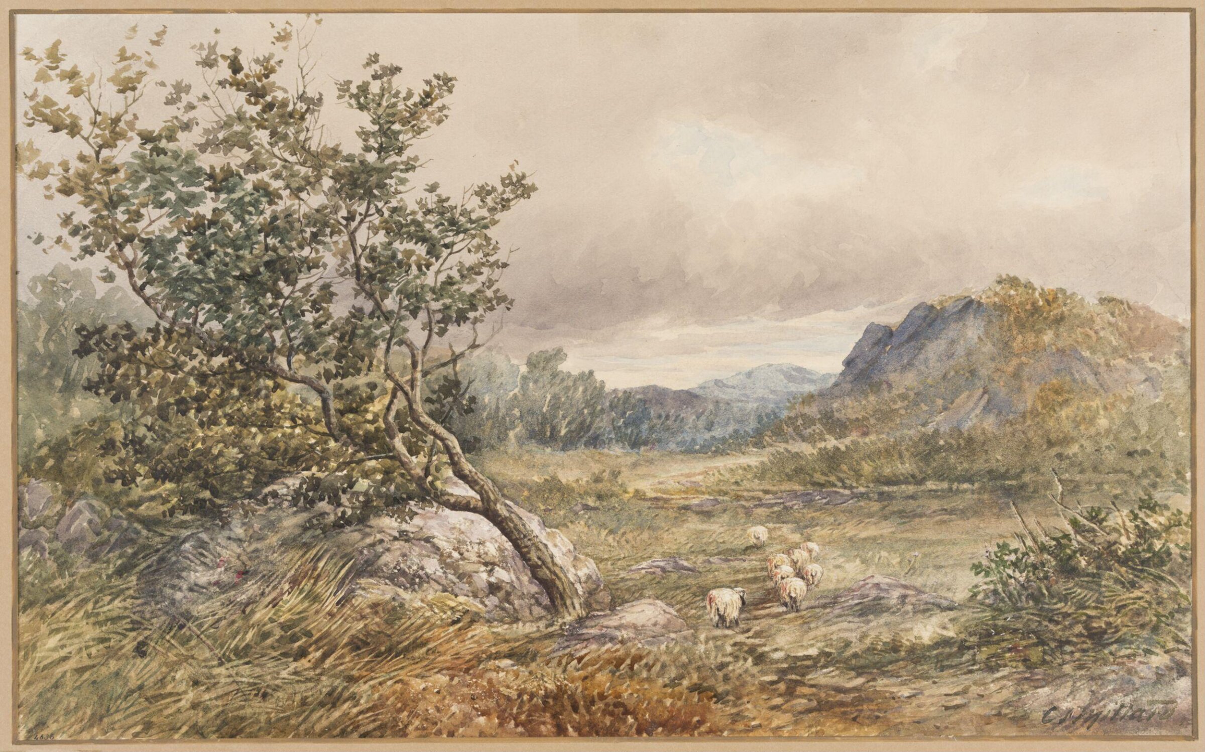 Pen-Craig, near Bettws-Y-Coed, North Wales, Charles Stuart Millard, c. 1857-1866