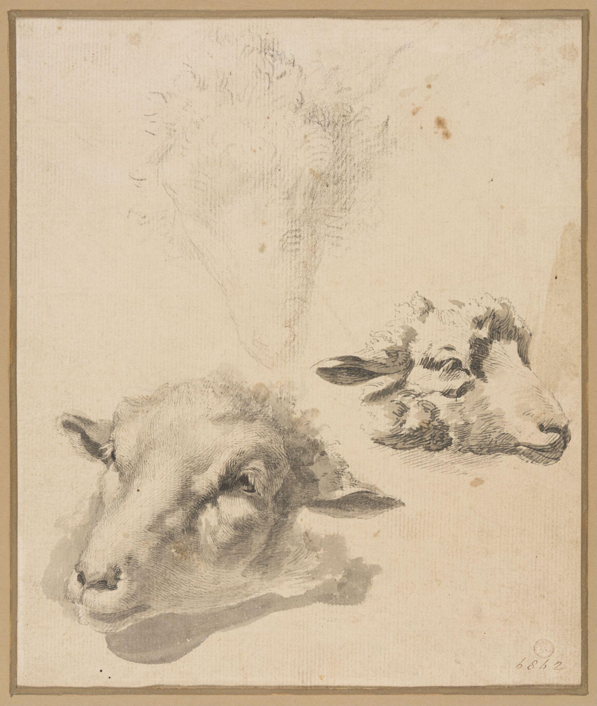Heads of Sheep, George Morland, ca. 1763-1804