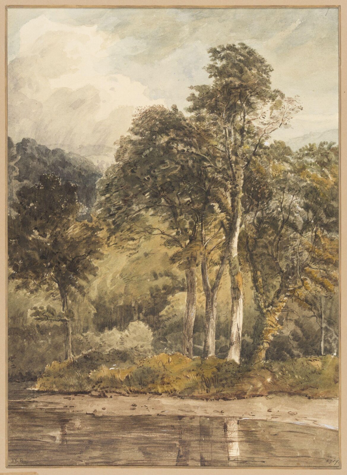 Drawing