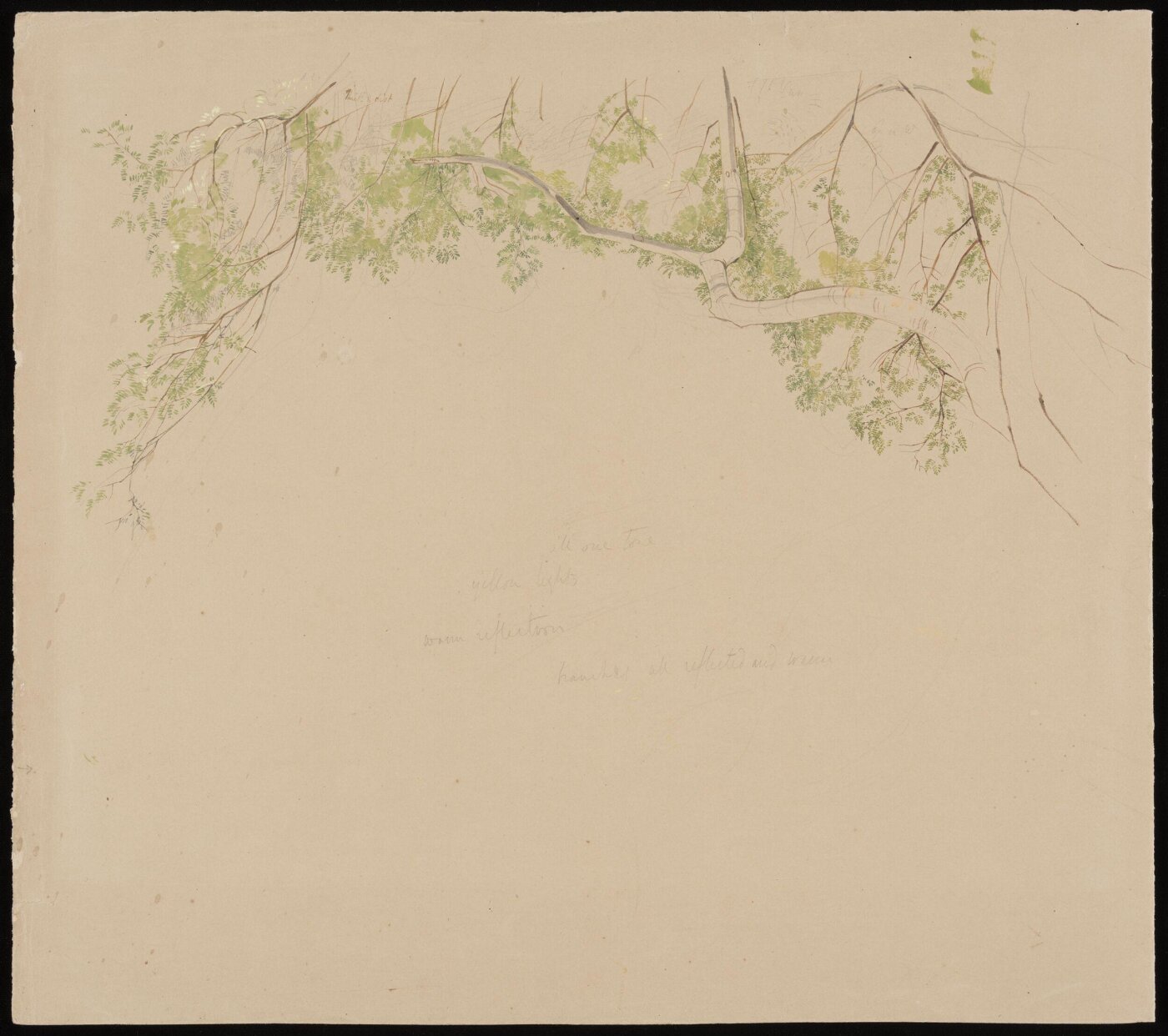 John Frederick Lewis, Study of a tree branch for the painting "Courtyard (Hosh) of the House of the Coptic Patriarch, Cairo"