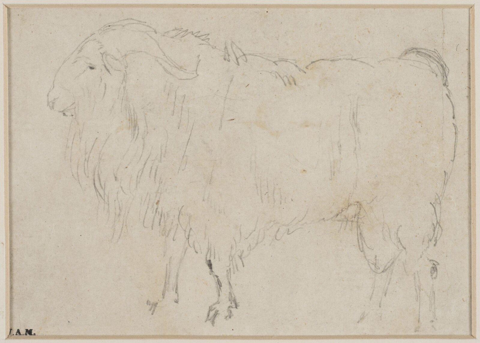 Drawing, Edwin Henry Landseer, ca. 1815