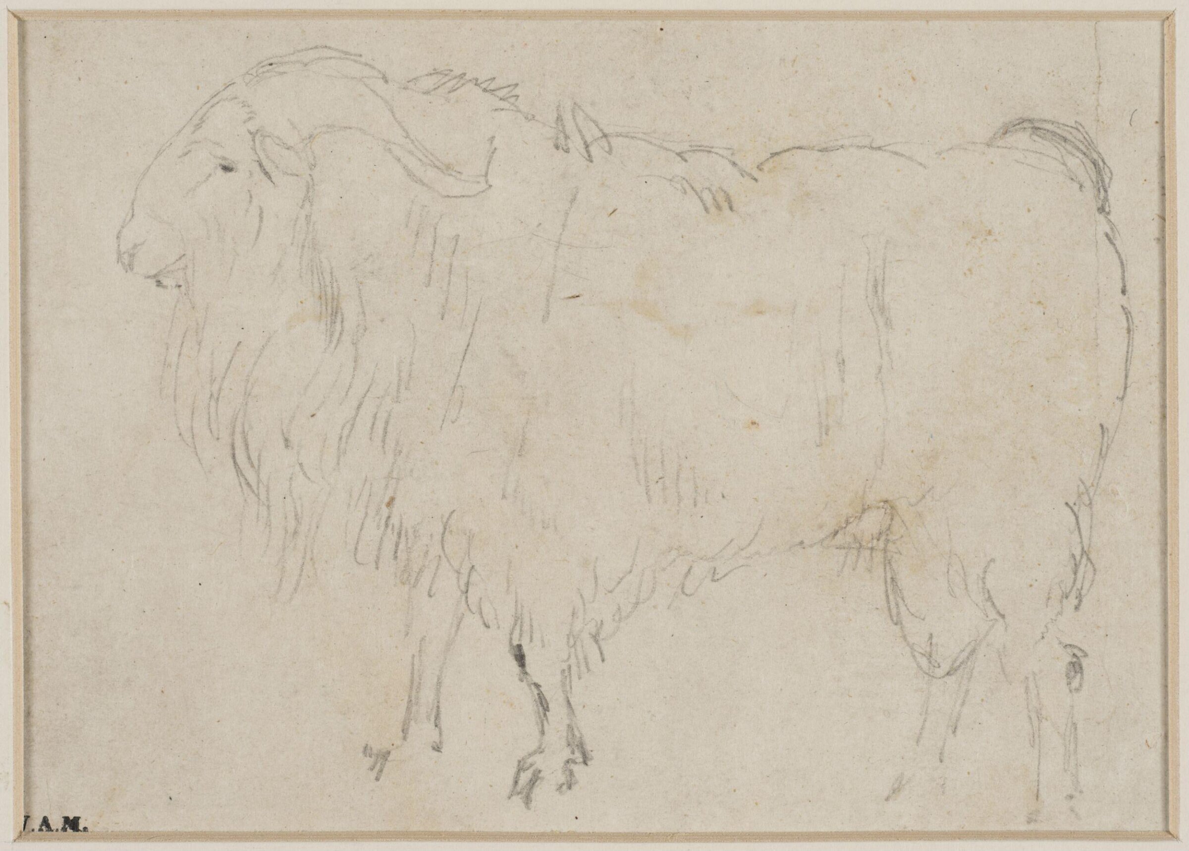 Drawing, Edwin Henry Landseer, ca. 1815