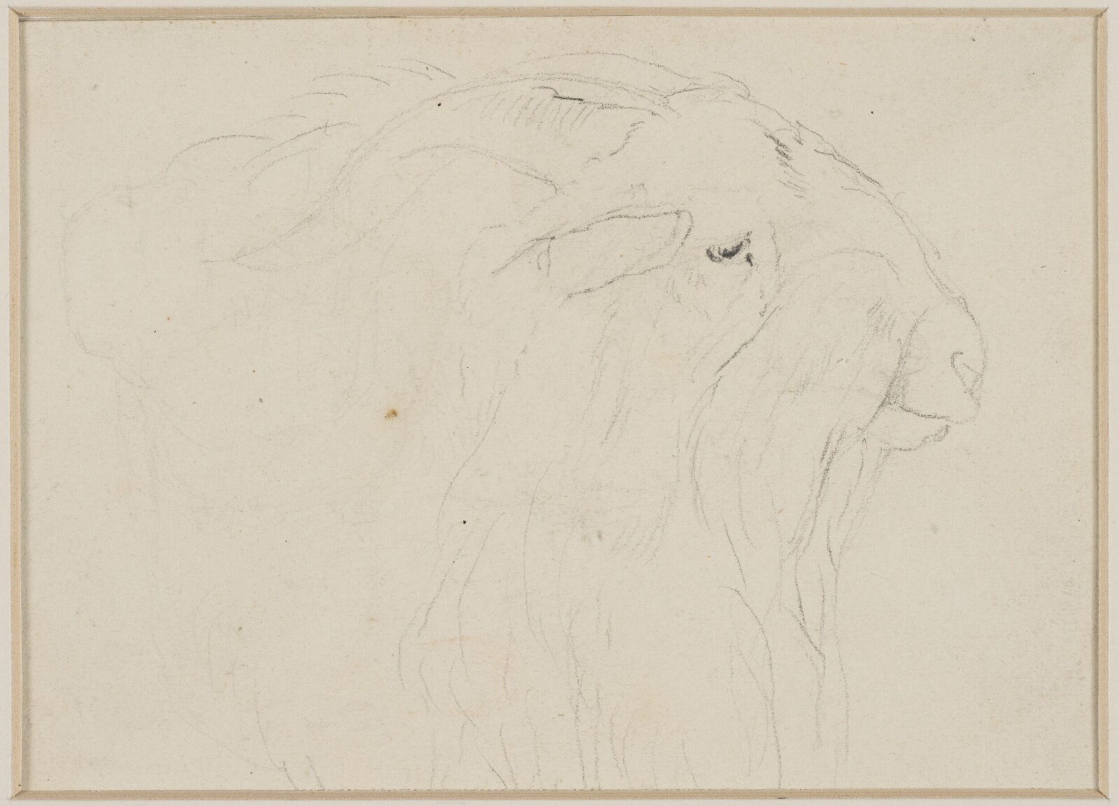 Drawing, Edwin Henry Landseer, ca. 1815