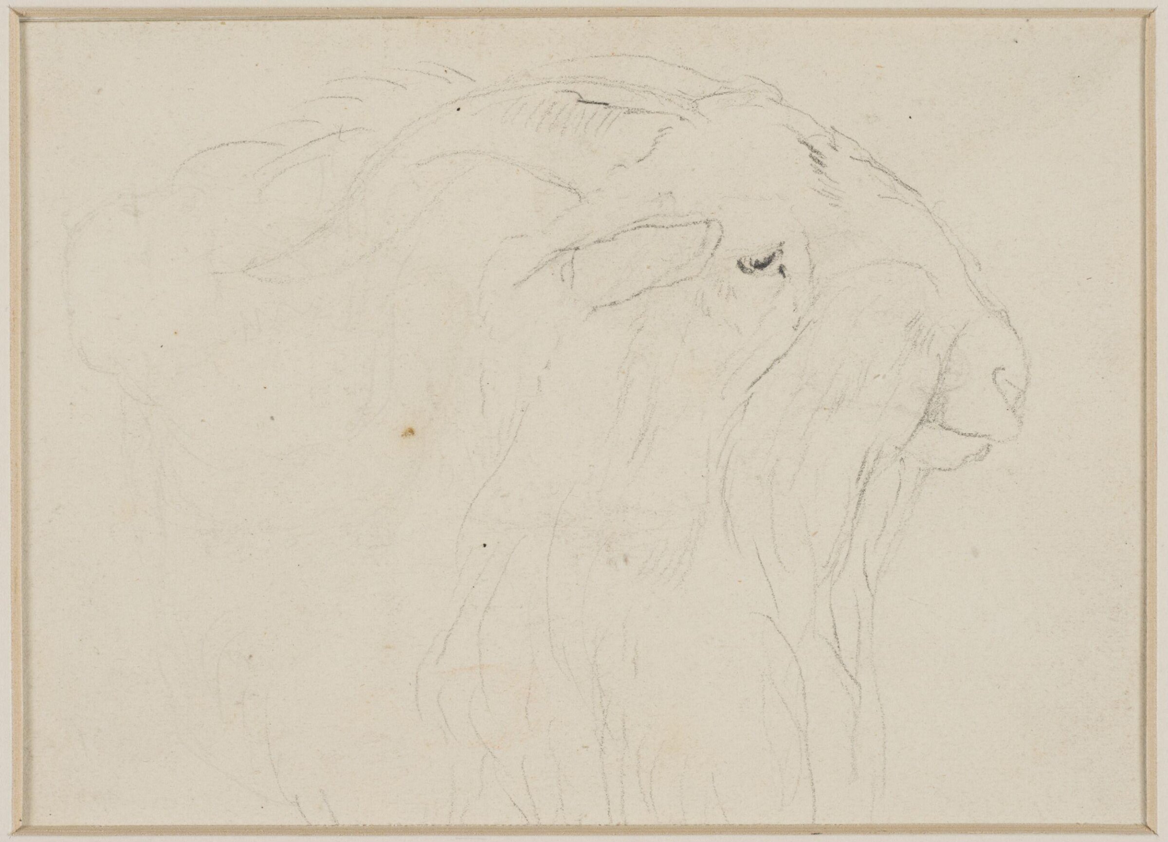 Drawing, Edwin Henry Landseer, ca. 1815
