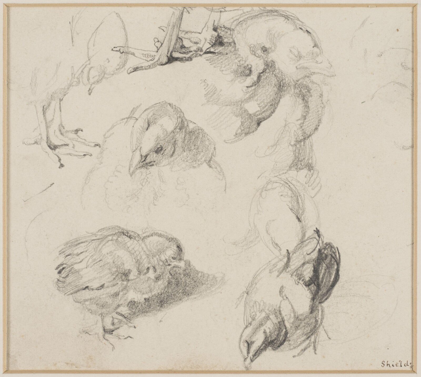 Drawing, Edwin Henry Landseer, ca. 1815