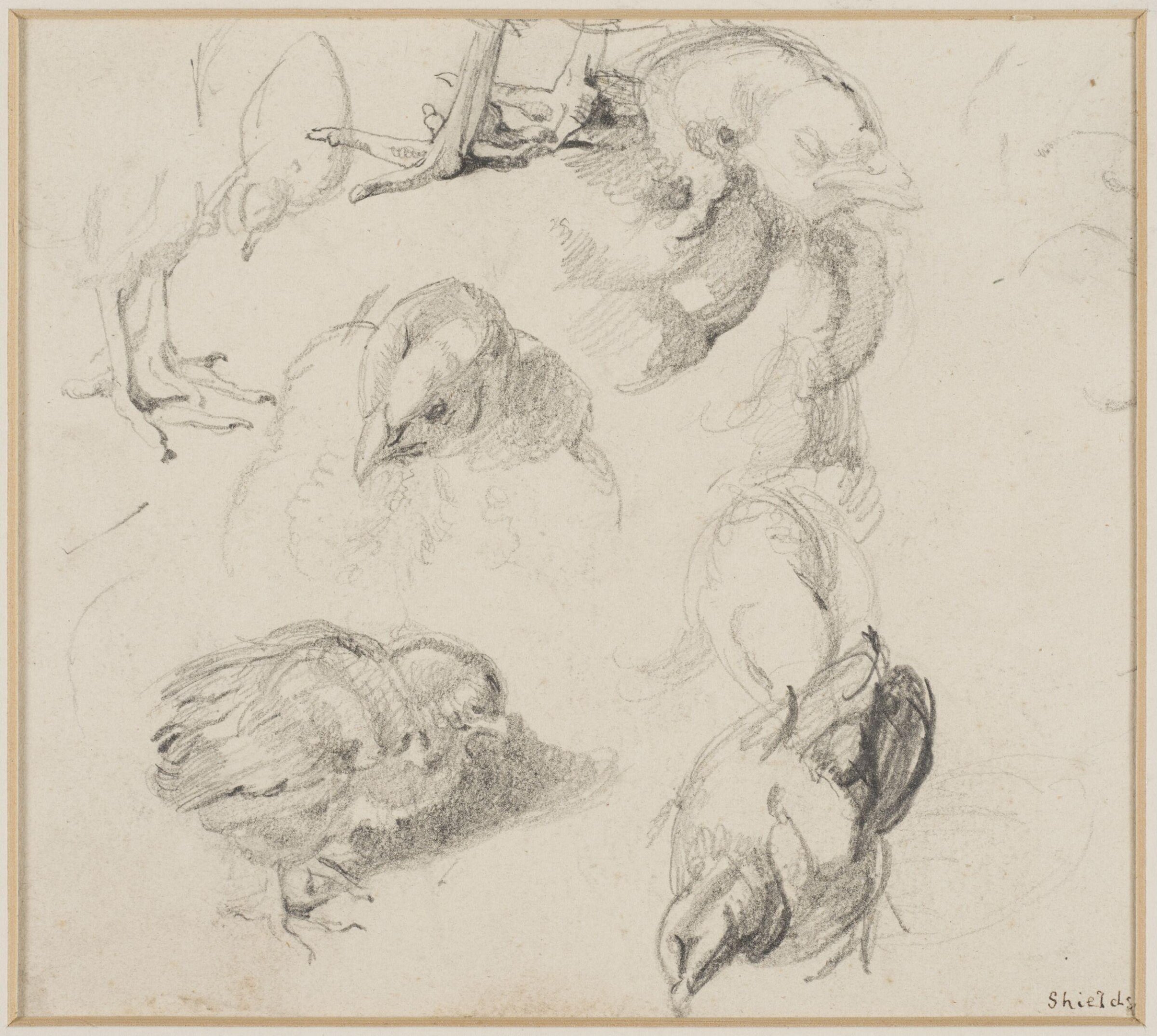 Drawing, Edwin Henry Landseer, ca. 1815