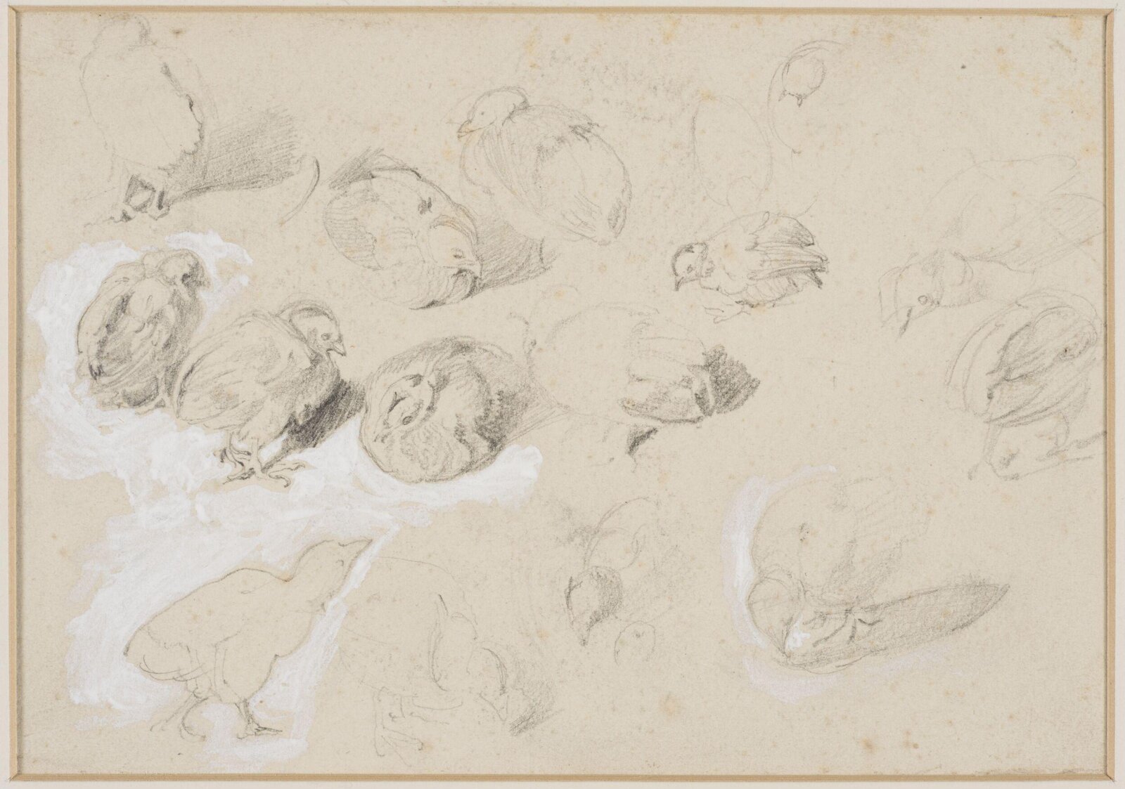 Drawing, Edwin Henry Landseer, ca. 1815