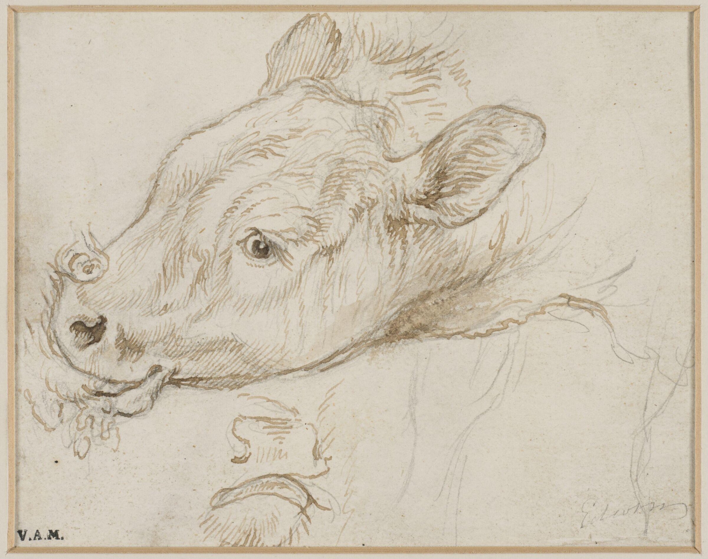 Drawing, Edwin Henry Landseer, ca. 1815