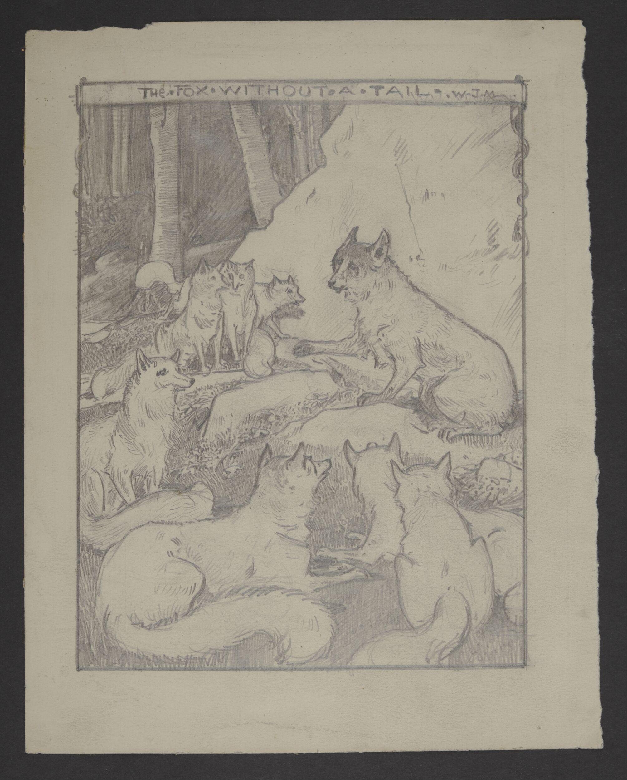 The fox without a tail.