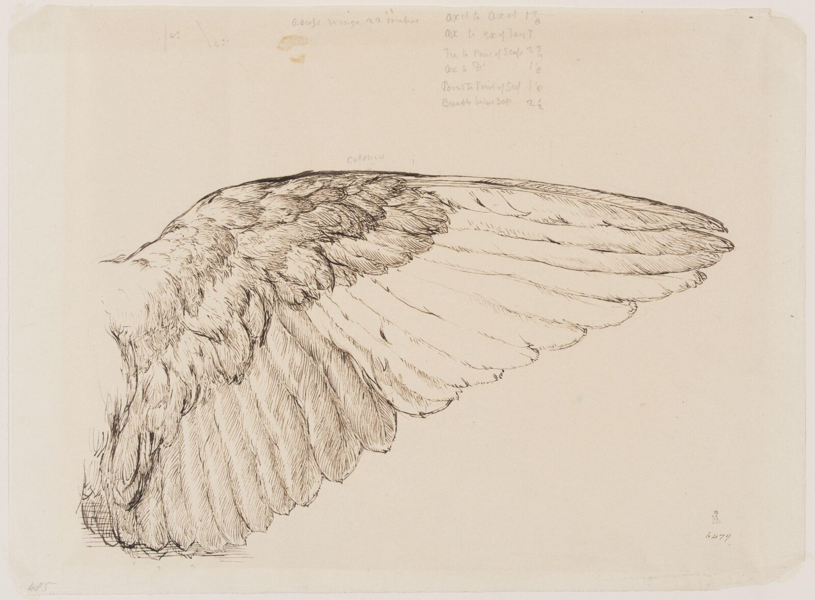 Drawing, William Mulready